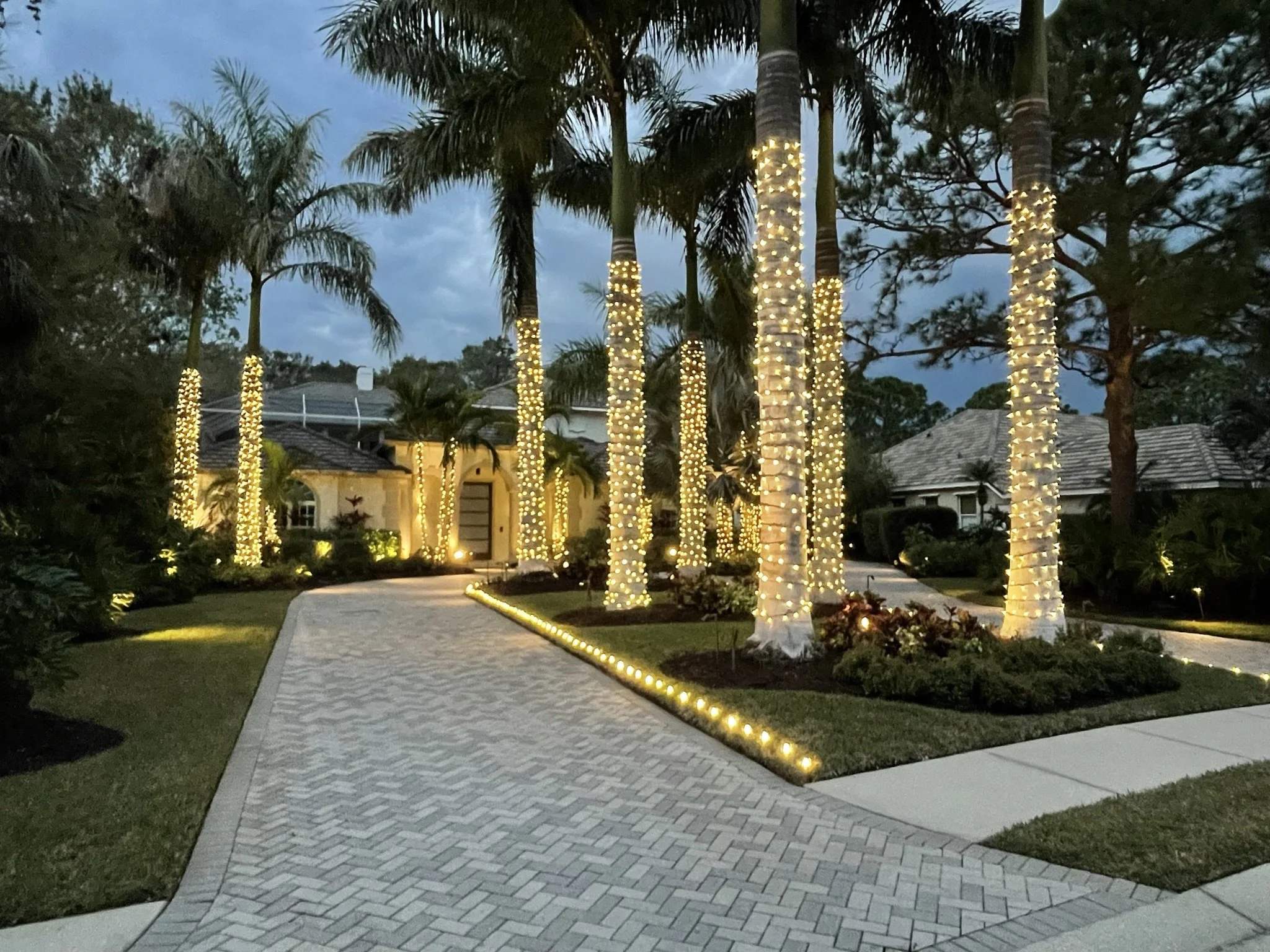 Sarasota Holiday Lighting - Lighting experts in Sarasota Florida  - Roofline, Palm tree and house Lighting