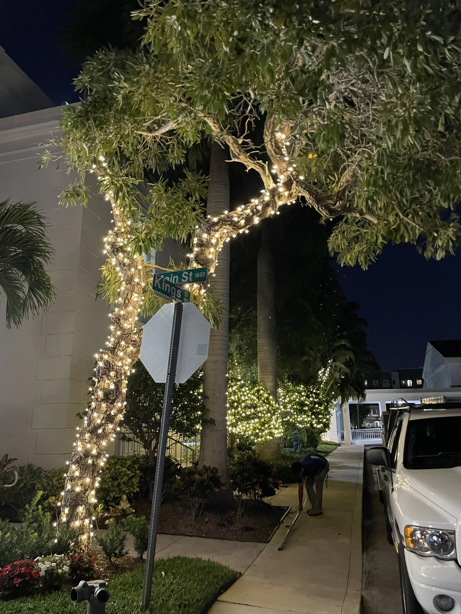 Sarasota Holiday Lighting - Lighting experts in Sarasota Florida  - Roofline, Palm tree and house Lighting