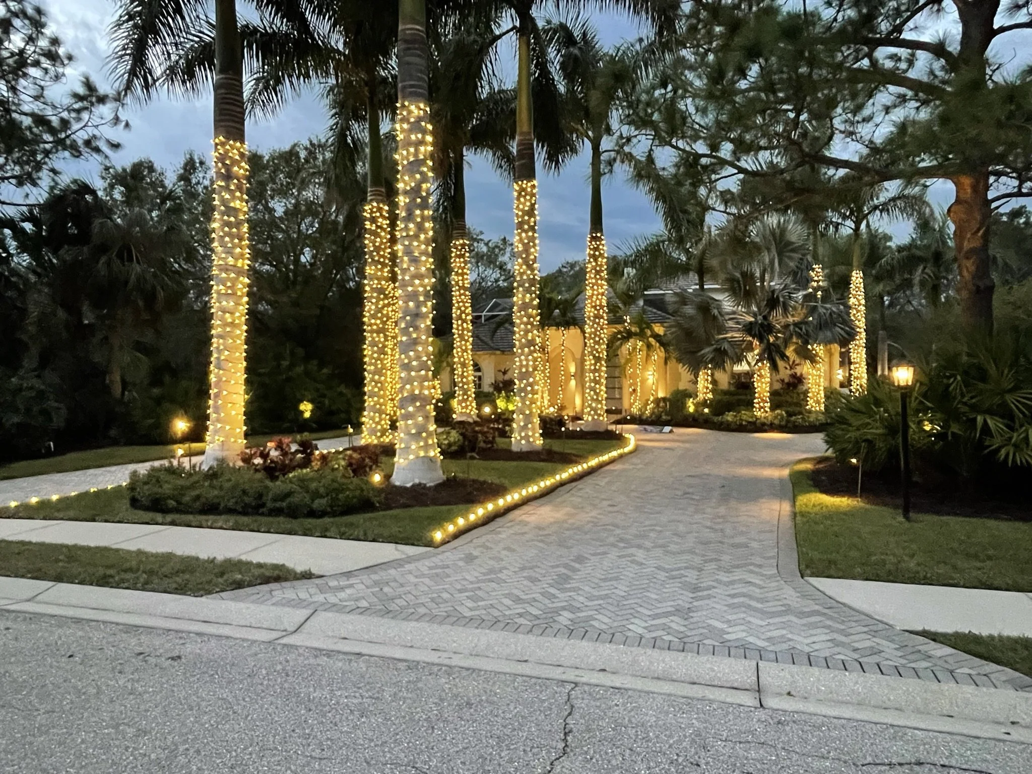 Sarasota Holiday Lighting - Lighting experts in Sarasota Florida  - Roofline, Palm tree and house Lighting