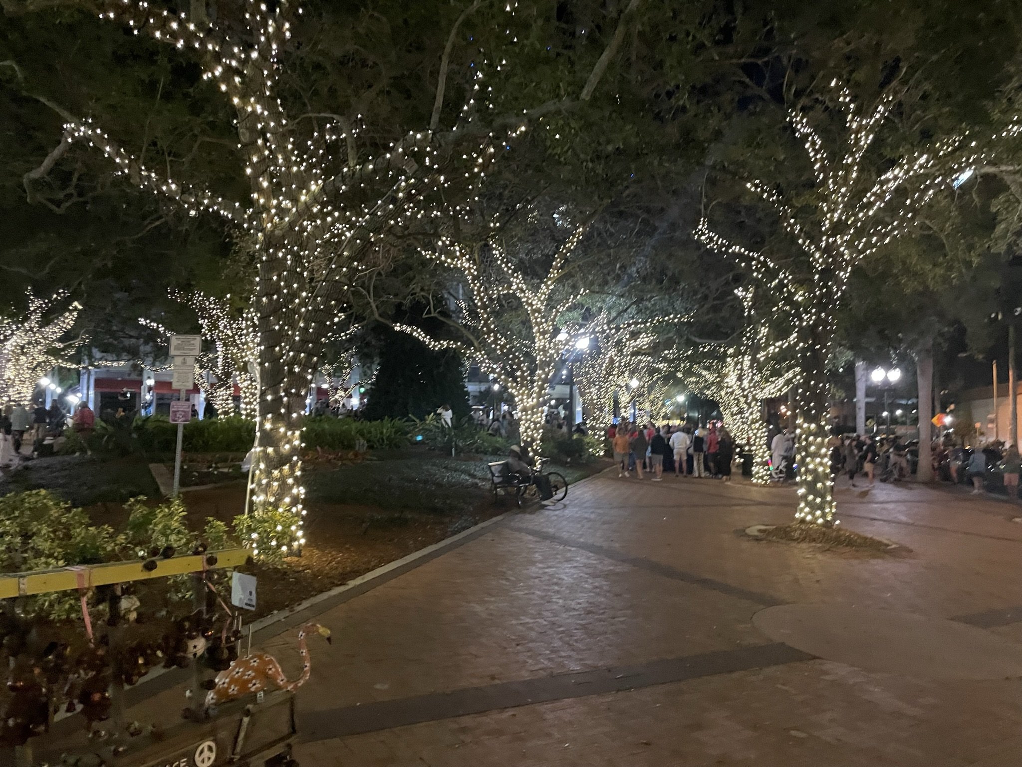 Sarasota Holiday Lighting - Lighting experts in Sarasota Florida  - Municipal, Church Lighting