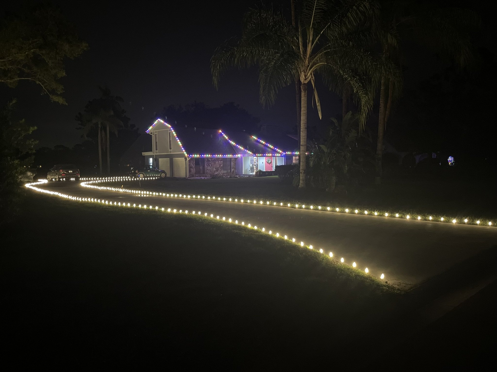 Sarasota Holiday Lighting - Lighting experts in Sarasota Florida  - Roofline, Palm tree and house Lighting