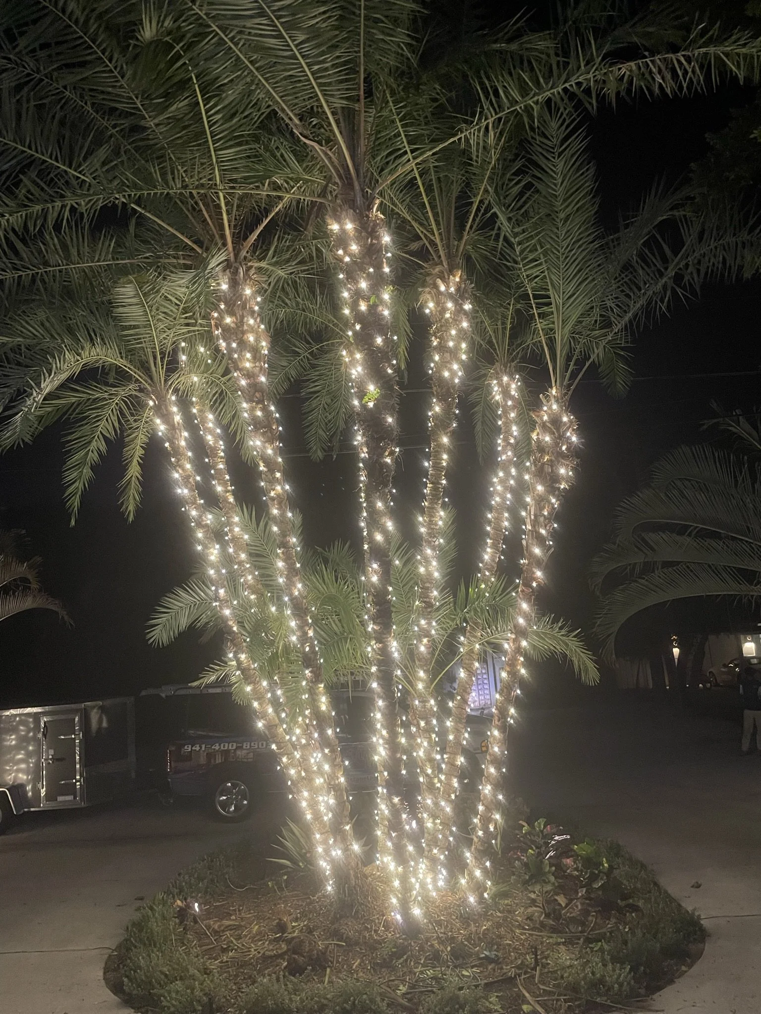 Sarasota Holiday Lighting - Lighting experts in Sarasota Florida  - Municipal, Church Lighting
