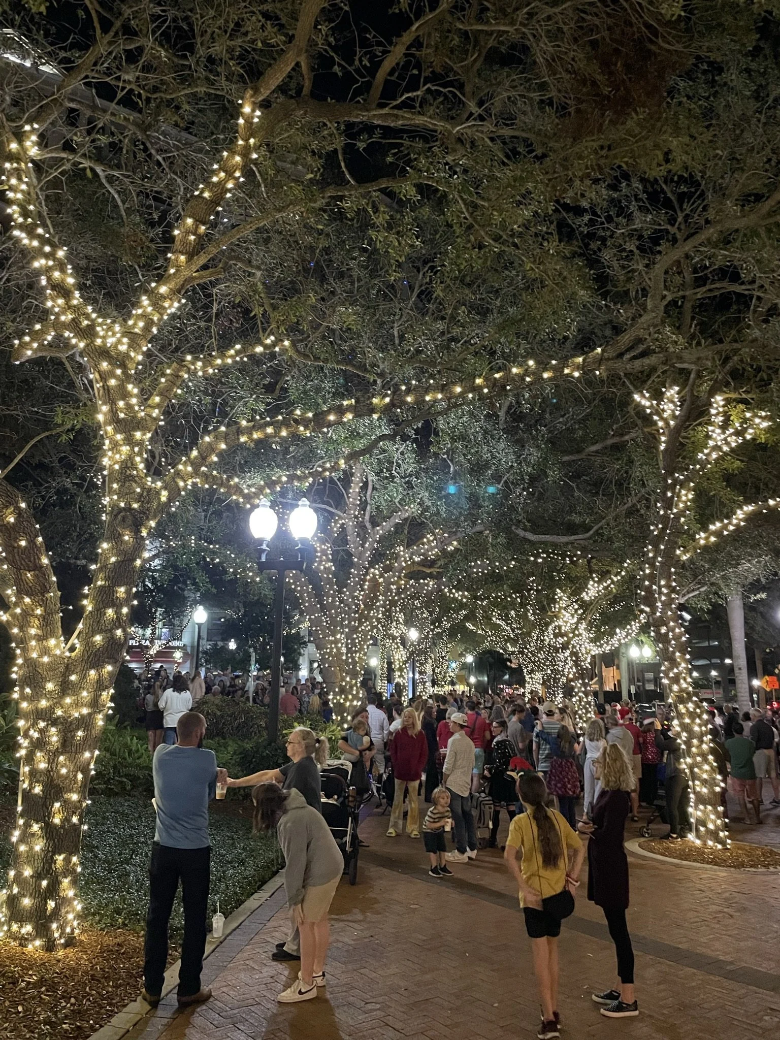 Sarasota Holiday Lighting - Lighting experts in Sarasota Florida  - Municipal, Church Lighting