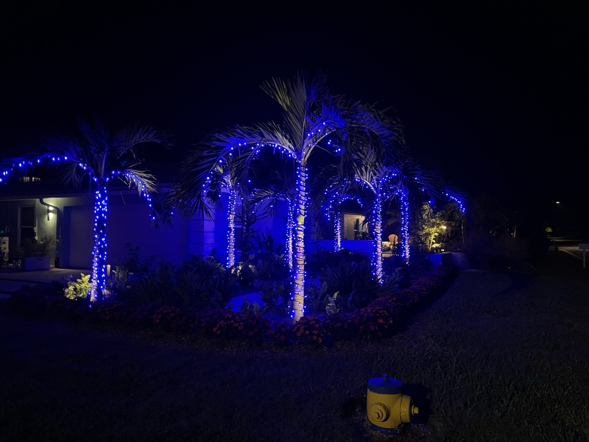 Sarasota Holiday Lighting - Lighting experts in Sarasota Florida  - Residential Lighting