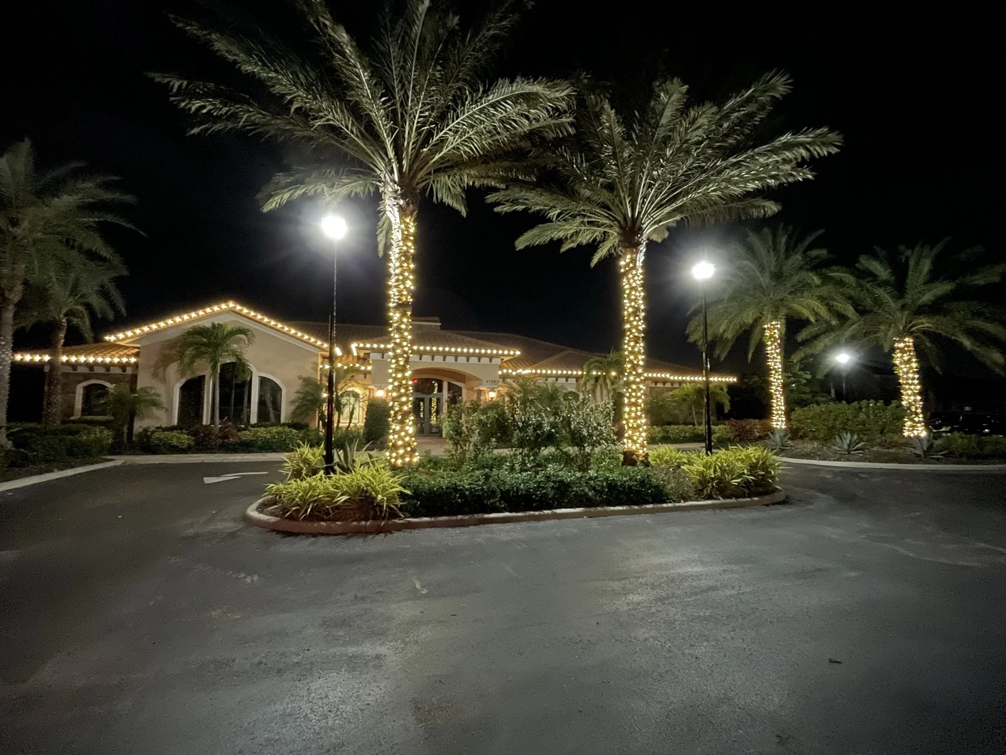 Sarasota Holiday Lighting - Lighting experts in Sarasota Florida  - Roofline, Palm tree and house Lighting