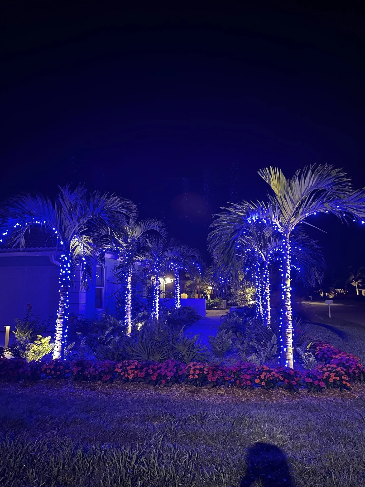Sarasota Holiday Lighting - Lighting experts in Sarasota Florida  - Residential Lighting