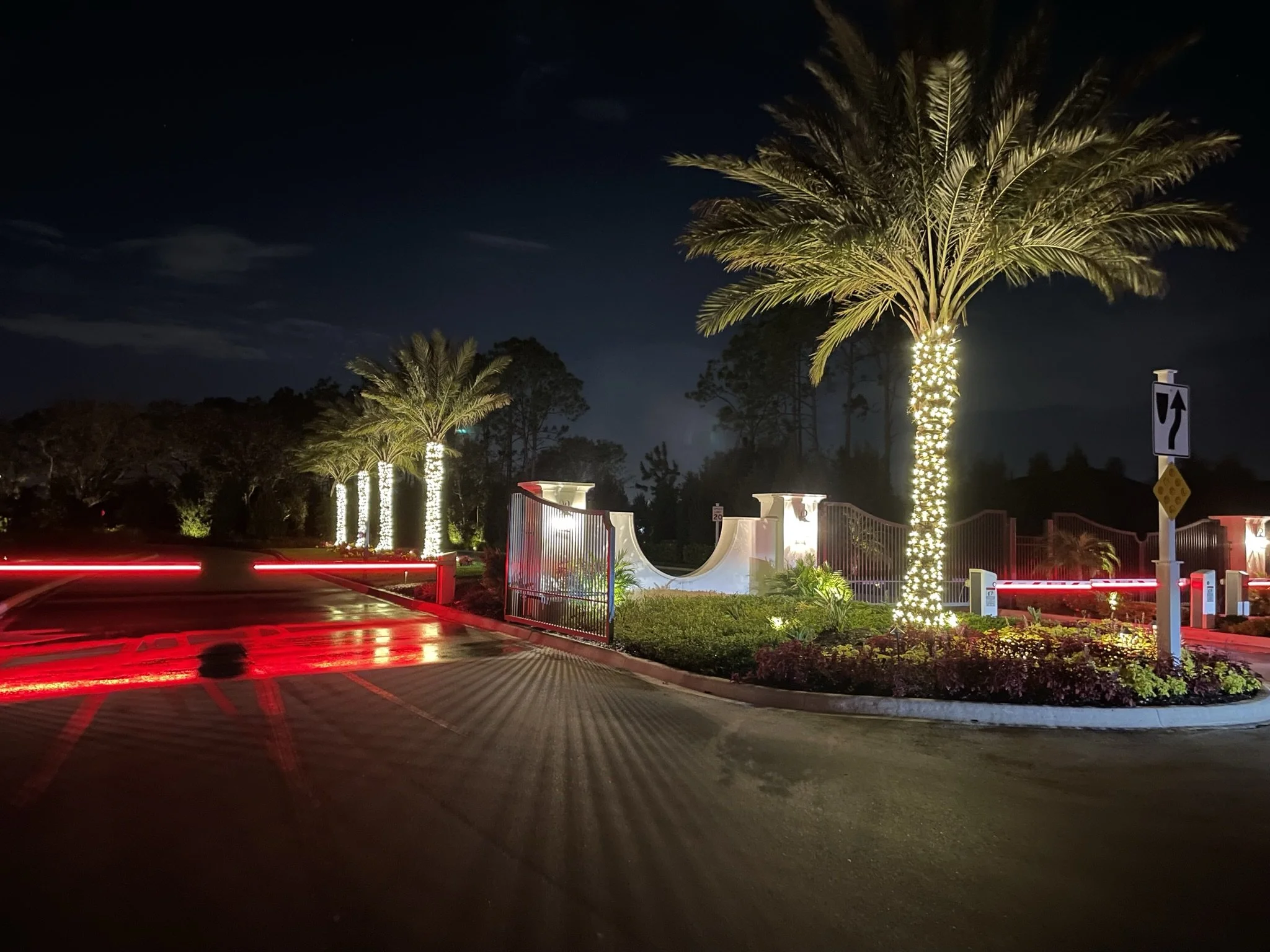 Sarasota Holiday Lighting - Lighting experts in Sarasota Florida  - Palm Tree Lighting