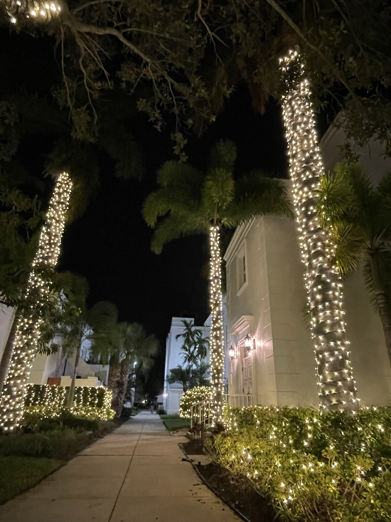 Sarasota Holiday Lighting - Lighting experts in Sarasota Florida  - Residential Lighting