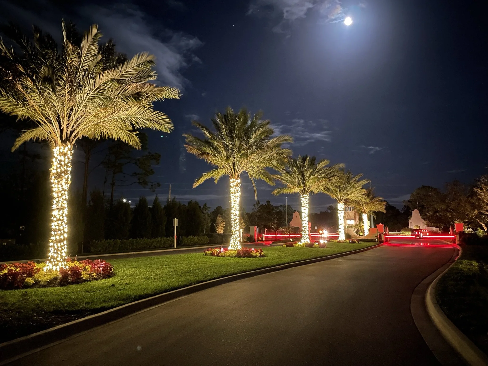 Sarasota Holiday Lighting - Lighting experts in Sarasota Florida  - Palm Tree Lighting