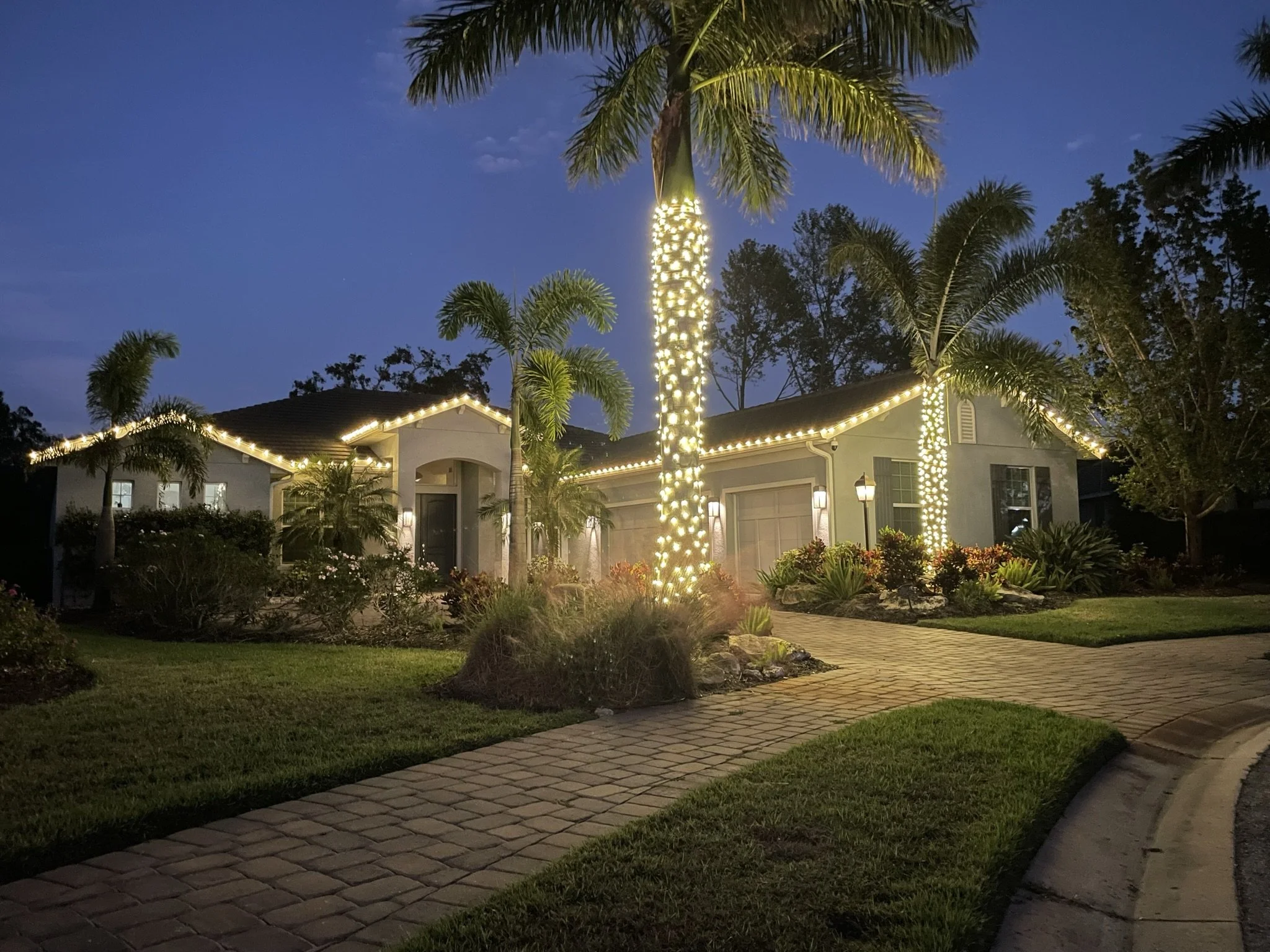 Sarasota Holiday Lighting - Roofline lights, Exterior palm tree lighting