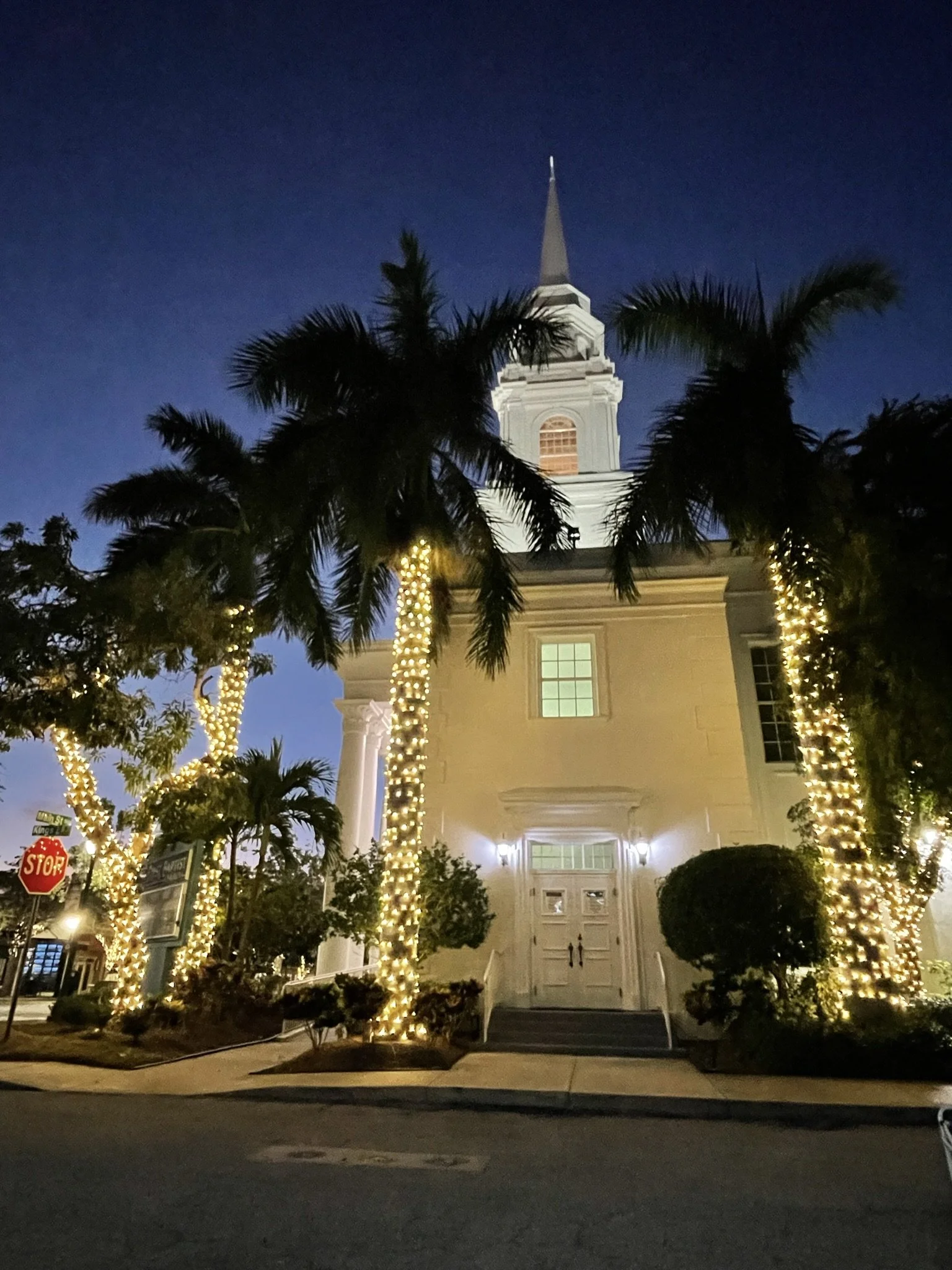 Sarasota Holiday Lighting 