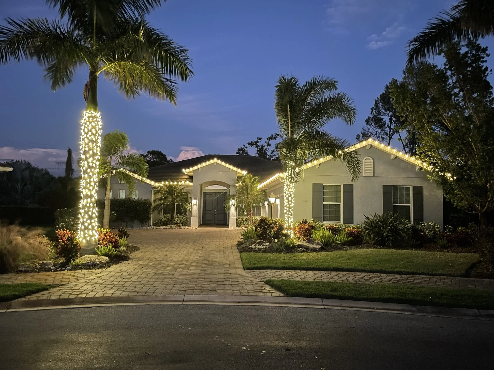 Sarasota Holiday Lighting - Roofline lights, Exterior palm tree lighting