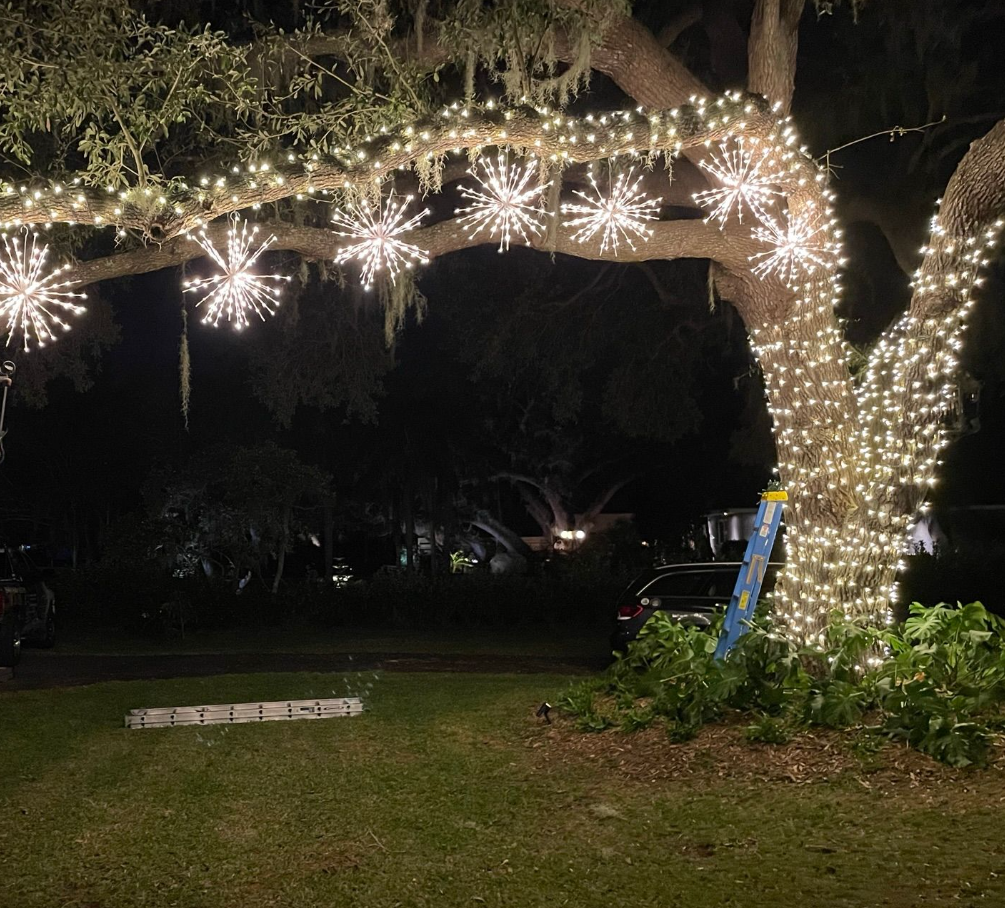 Sarasota Holiday Lighting 