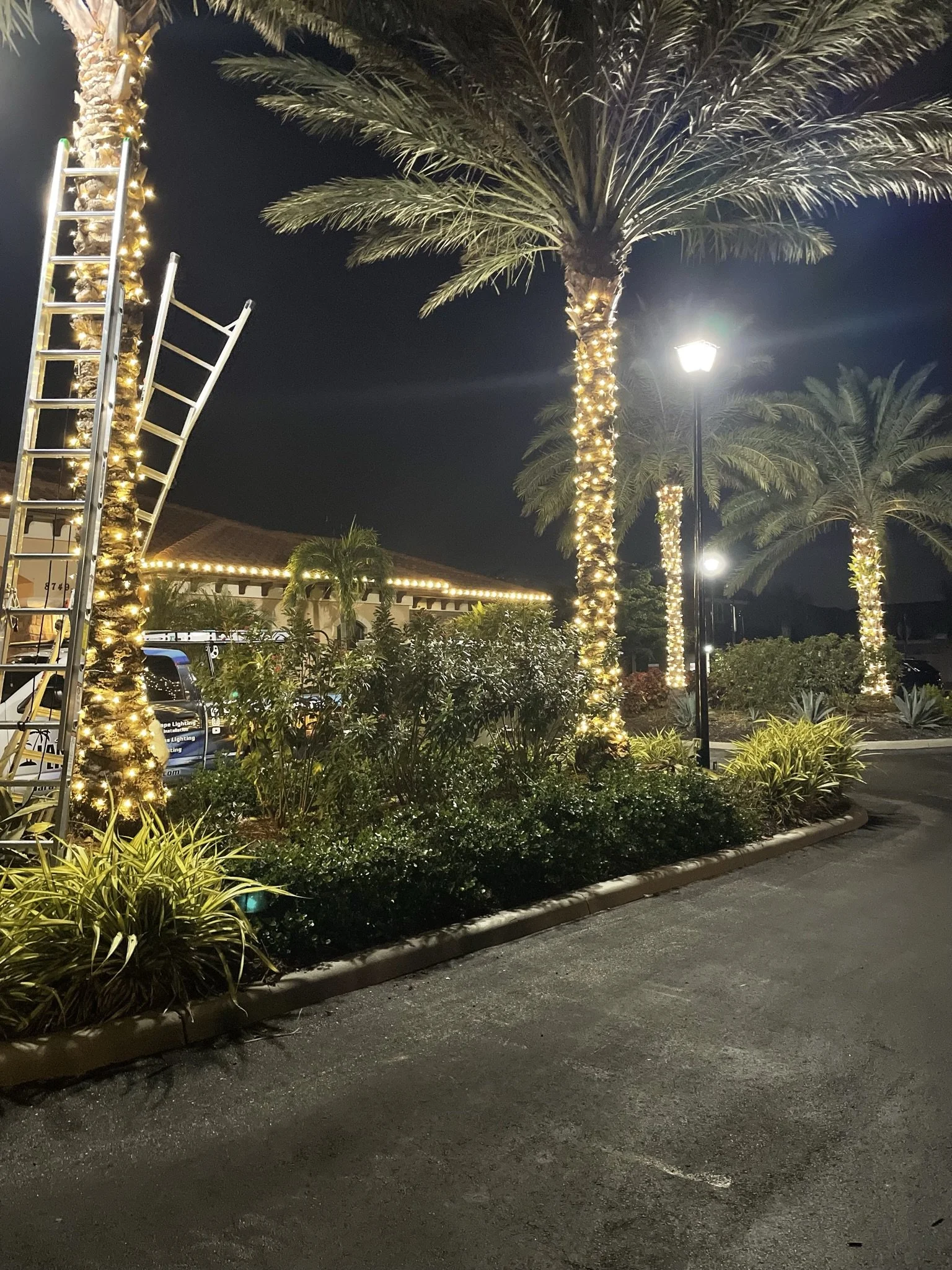 Sarasota Holiday Lighting 