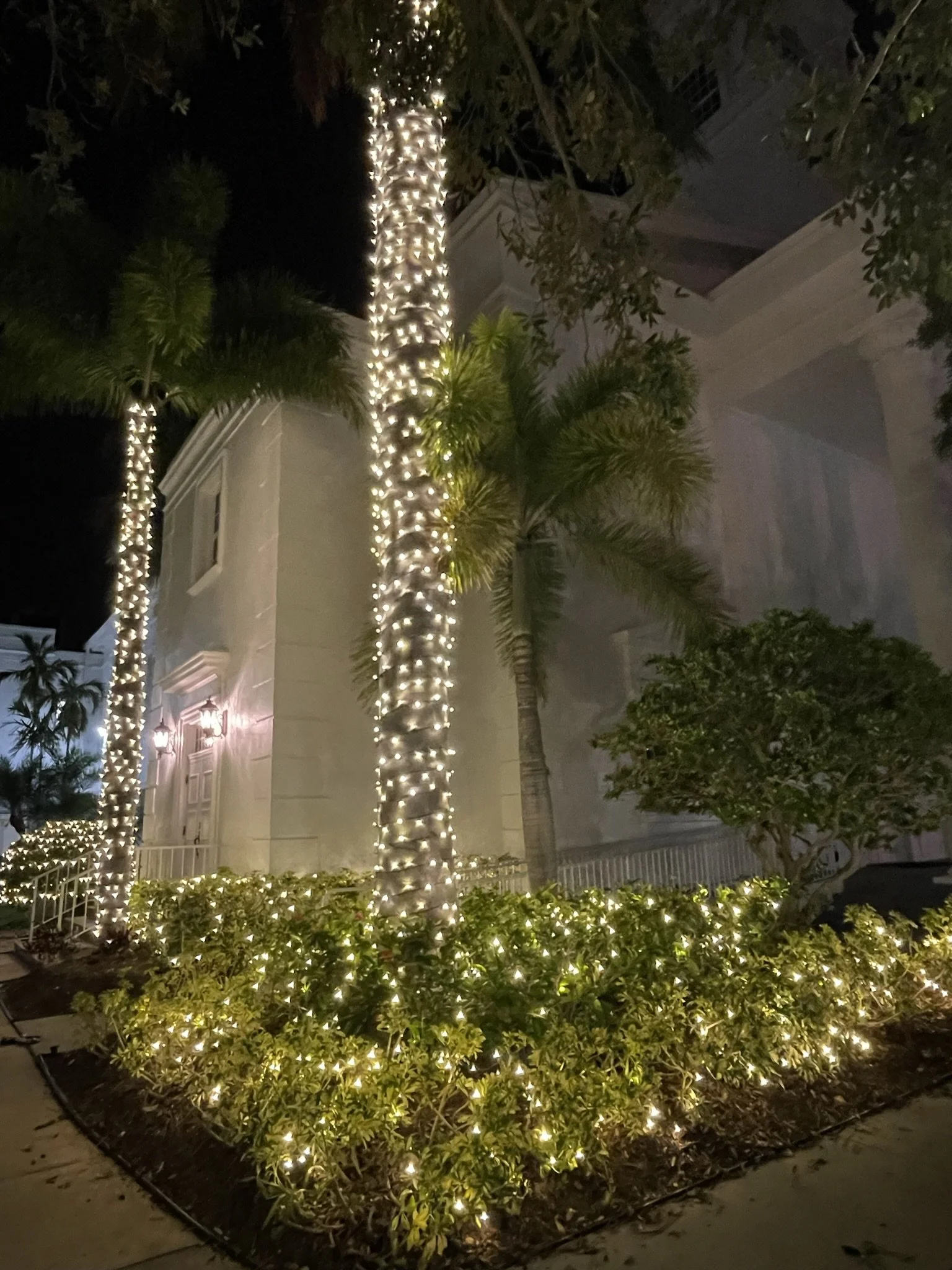 Sarasota Holiday Lighting 