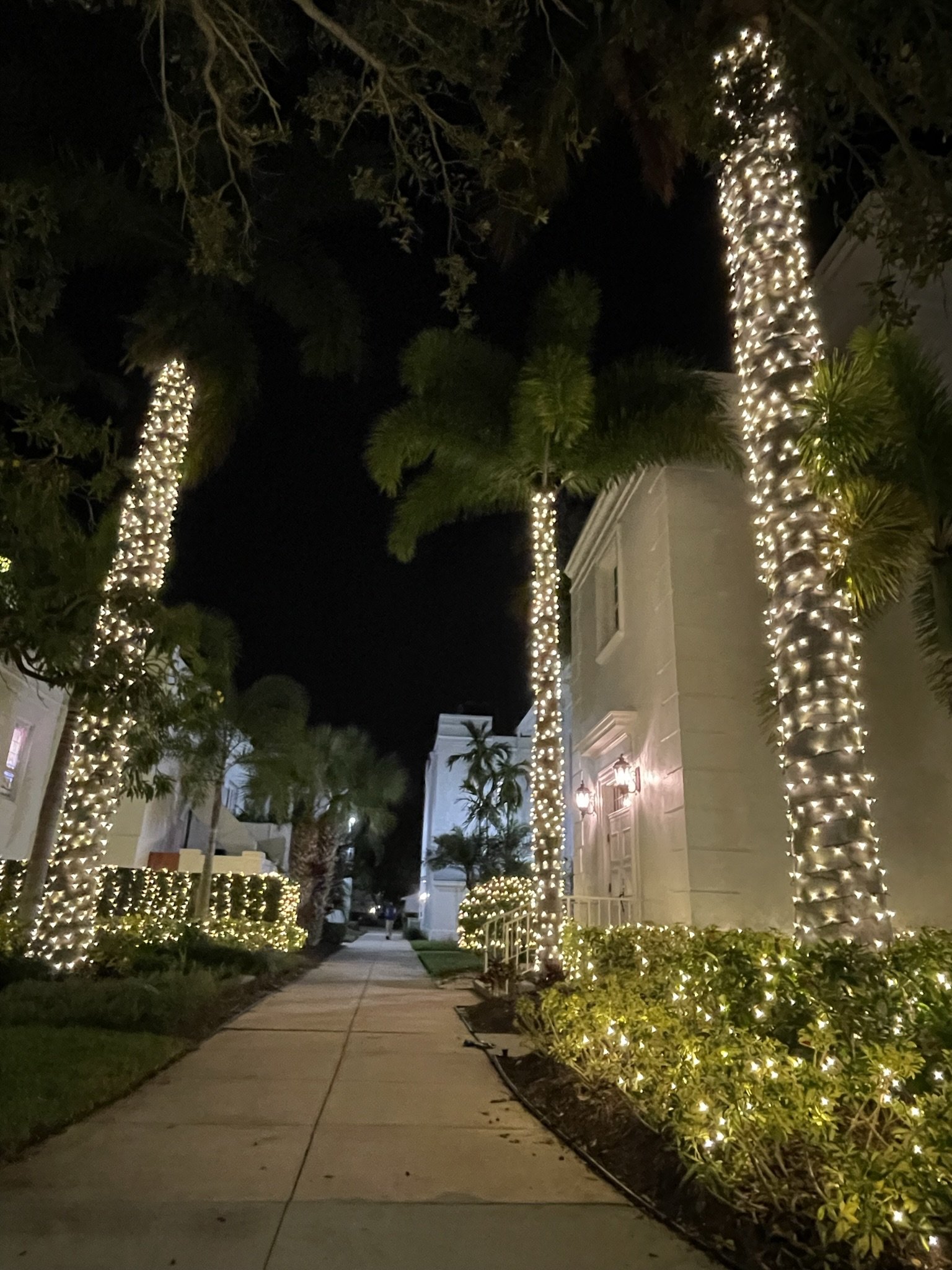 Sarasota Holiday Lighting 