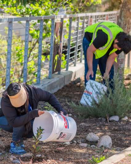 Stewardship Saturday