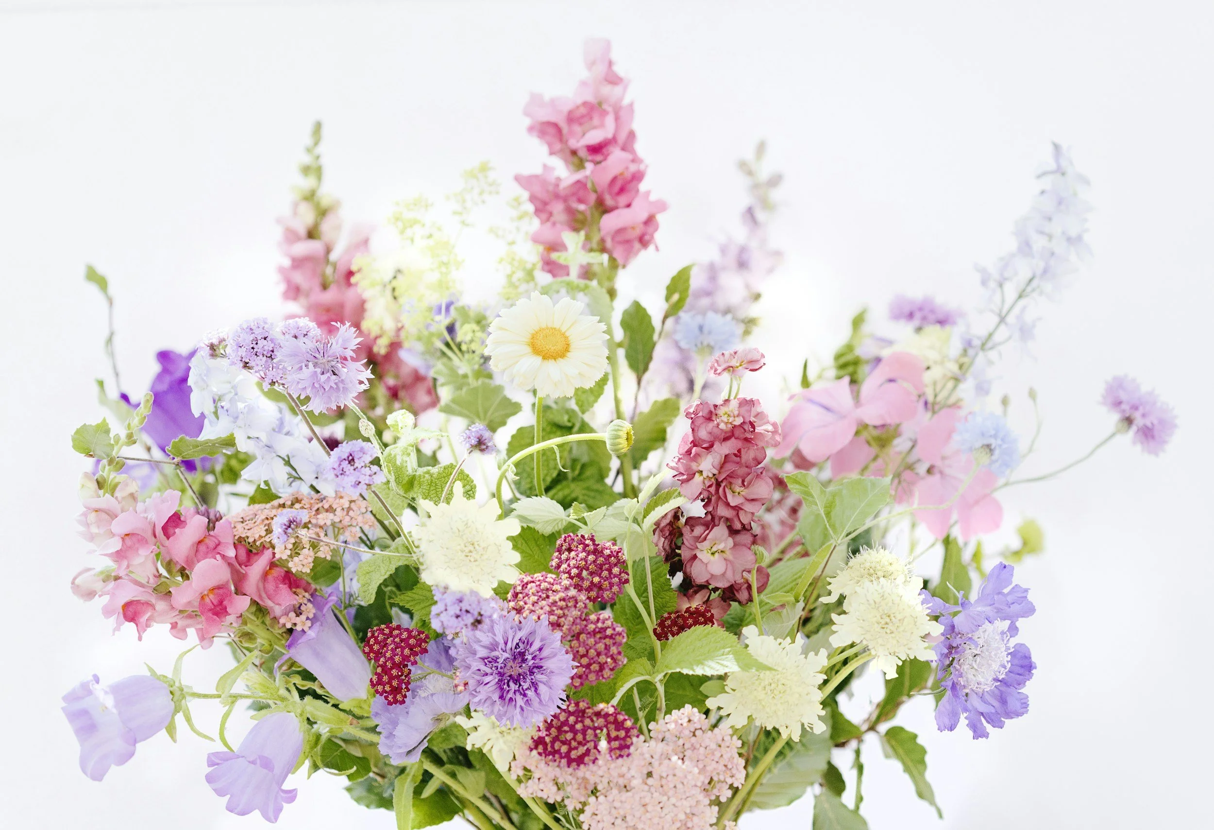 Bunch of fresh-cut pink, purple and white garden flowers