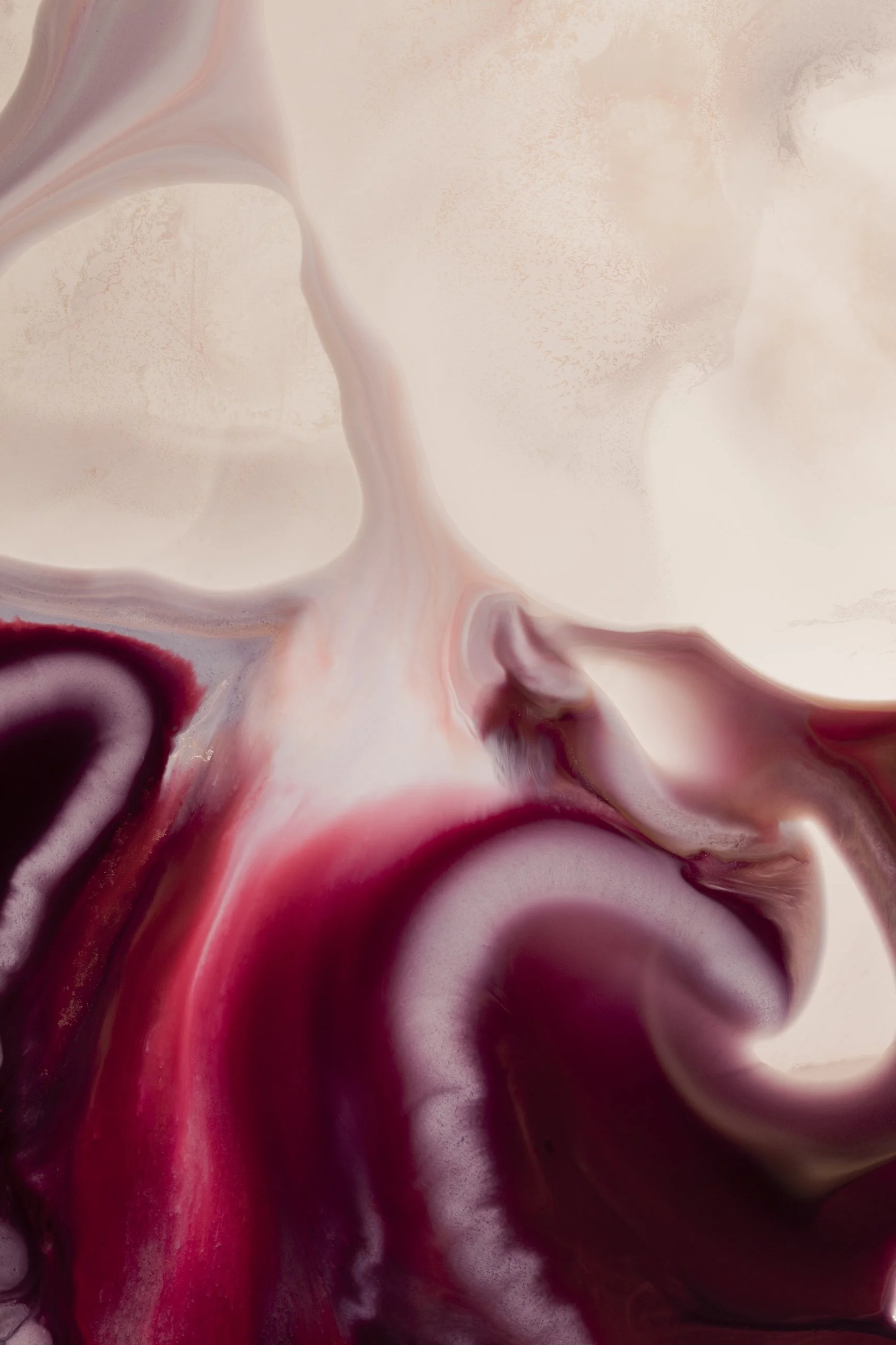 Nicholas Alan Cope Photography