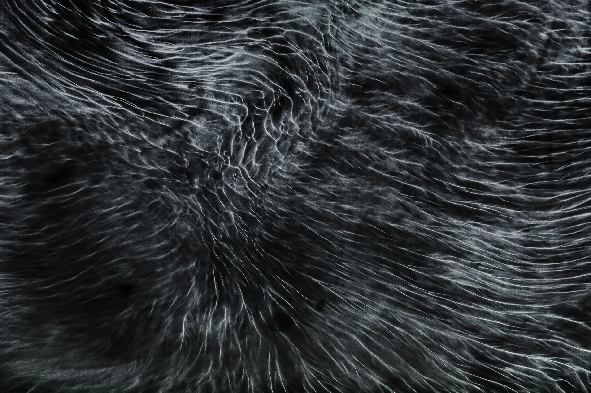 Nicholas Alan Cope Photography