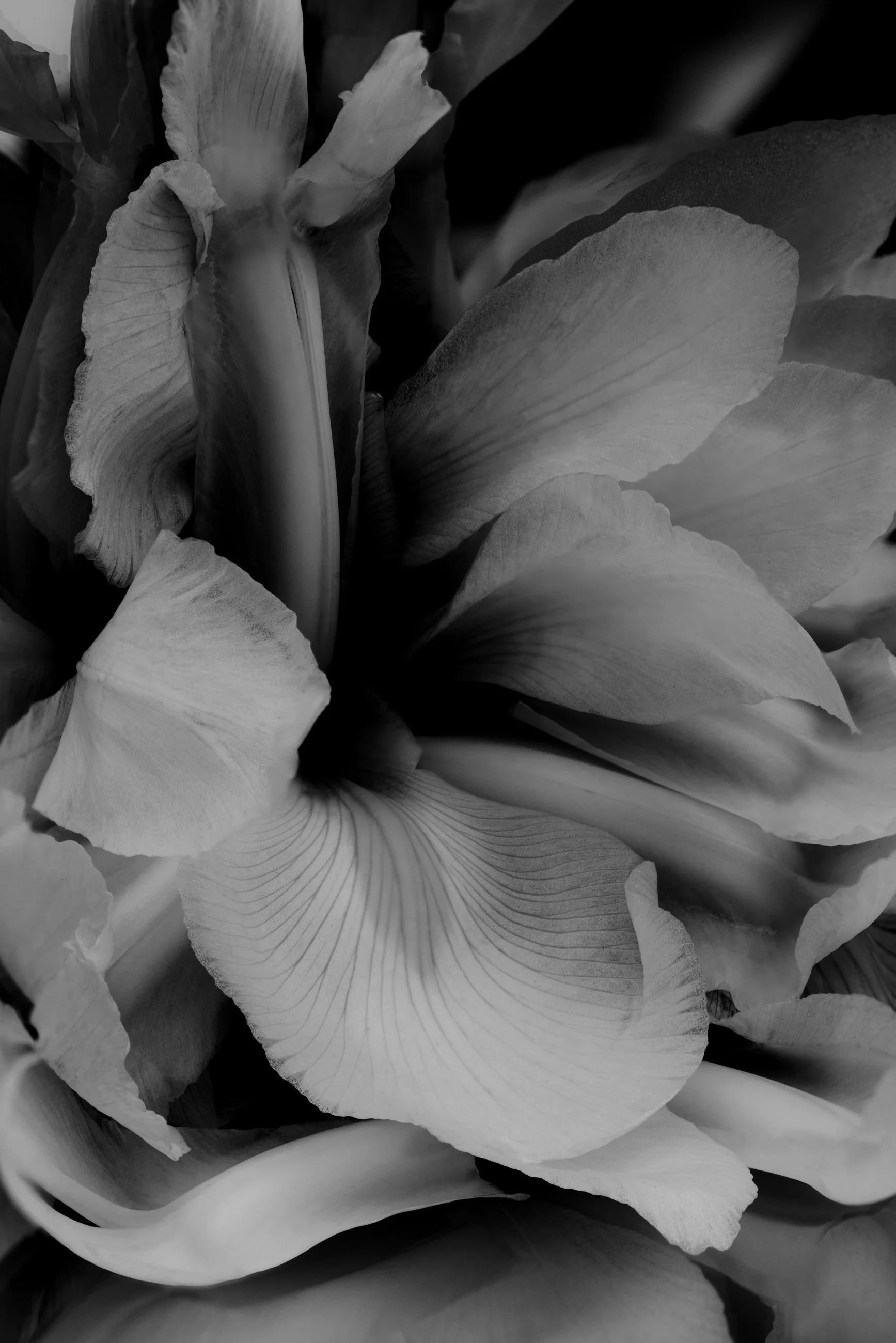 Nicholas Alan Cope Photography