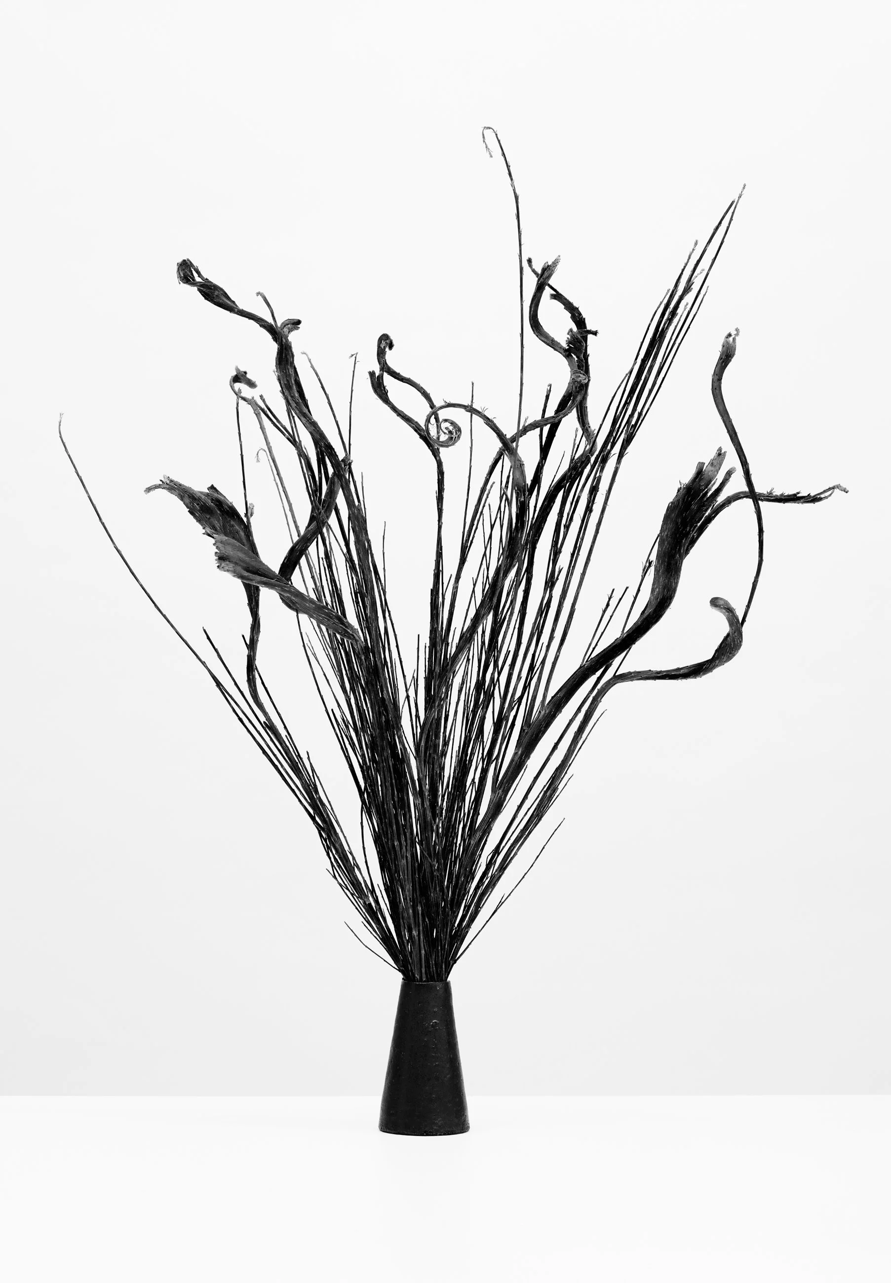 Nicholas Alan Cope Photography