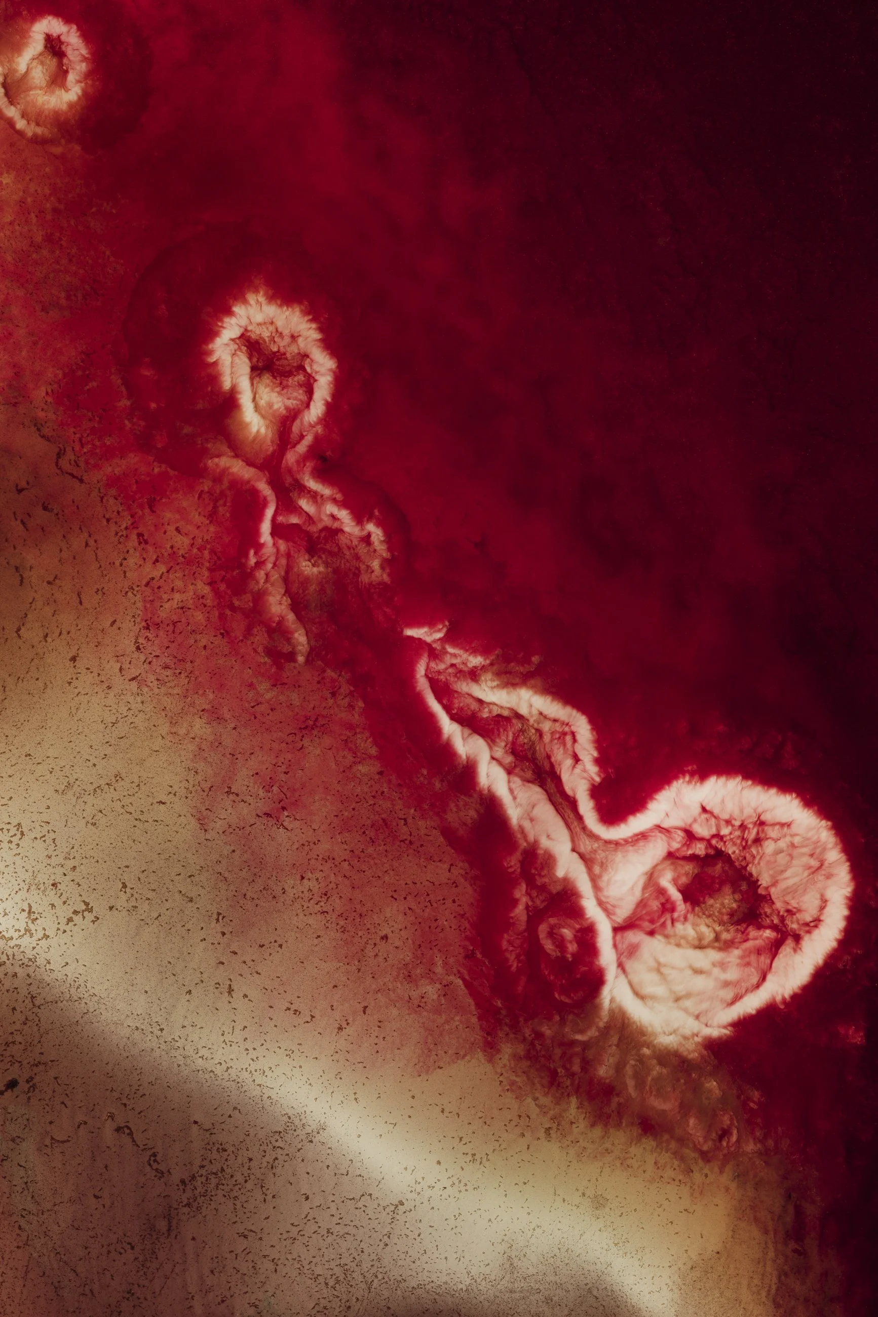 Nicholas Alan Cope Photography