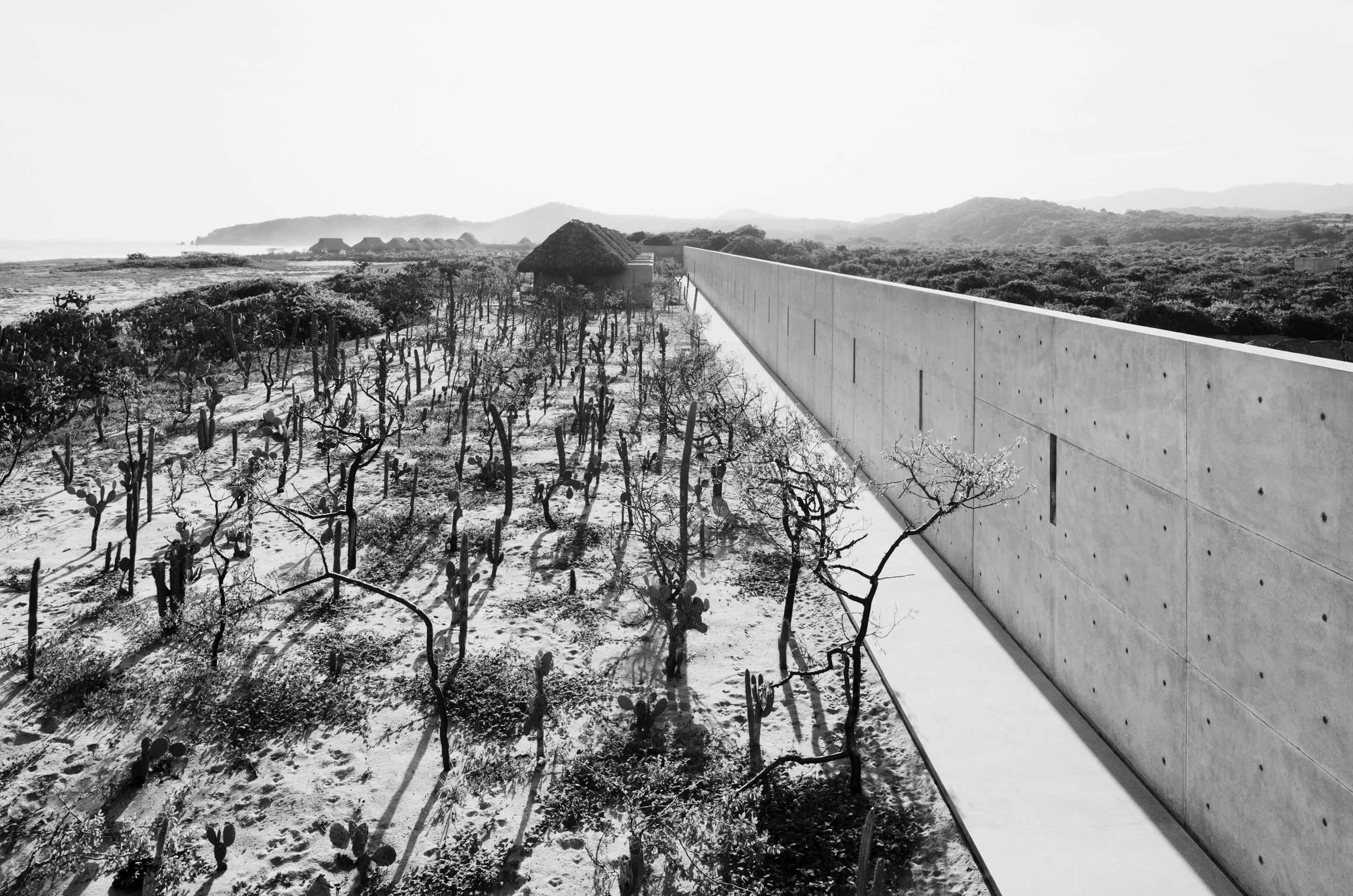 Nicholas Alan Cope Photography