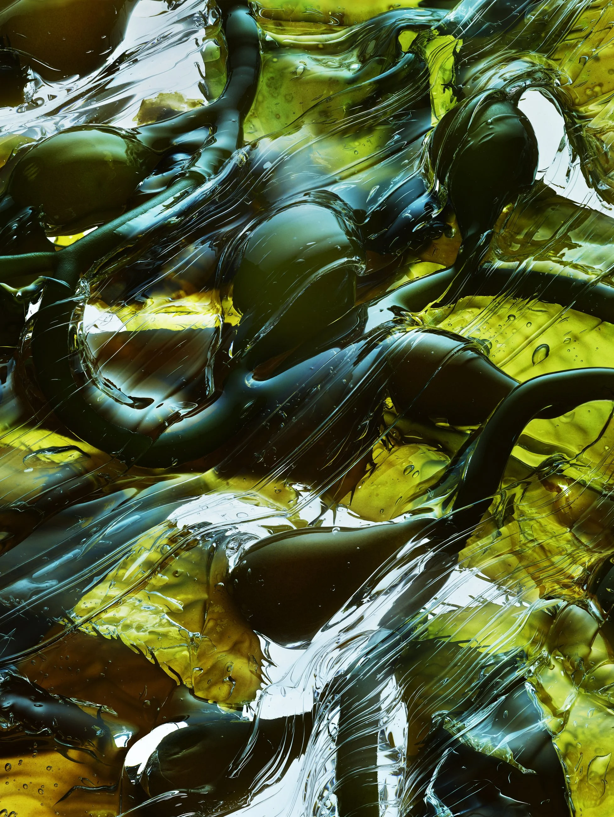 Nicholas Alan Cope Photography