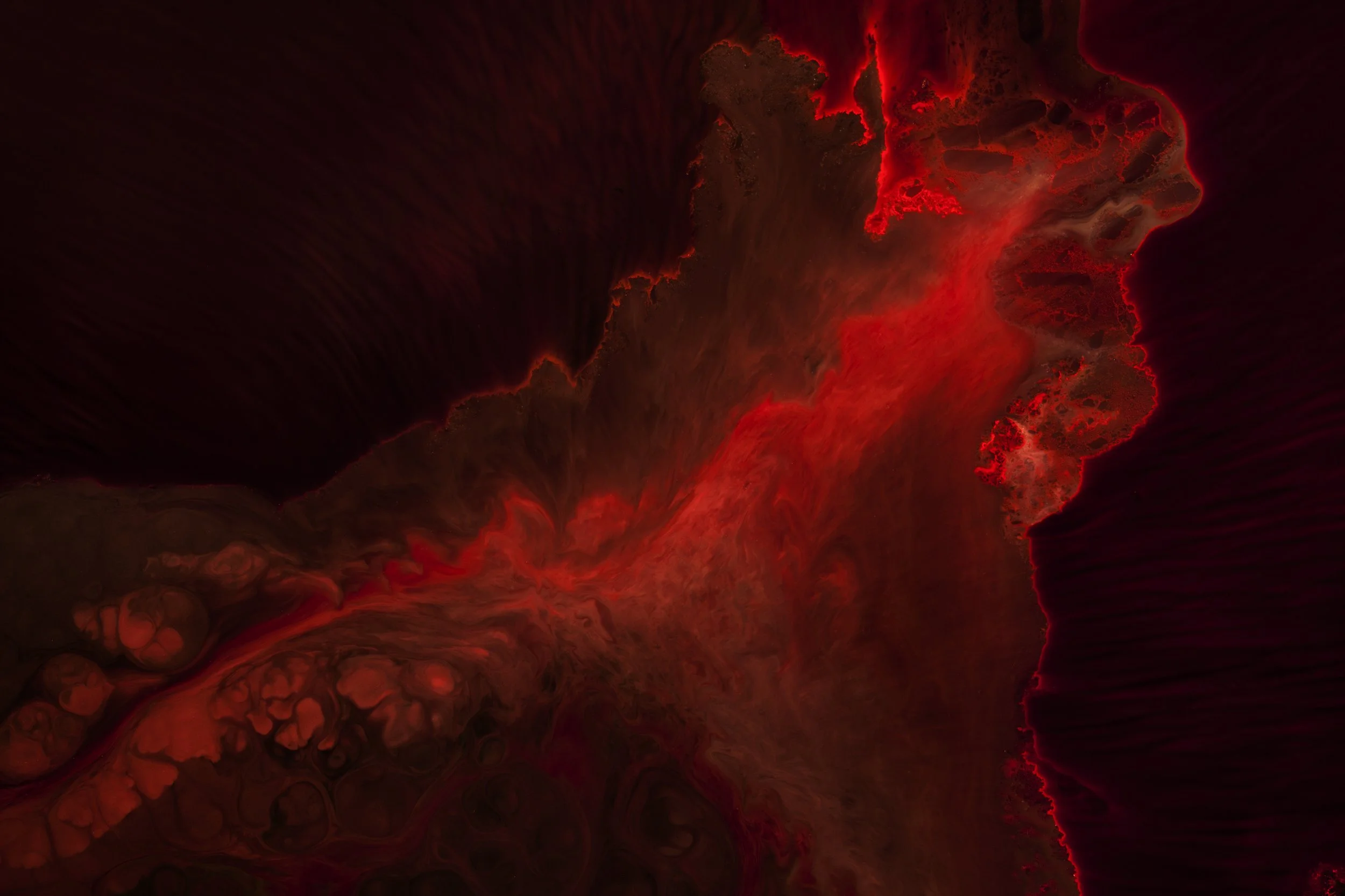 Nicholas Alan Cope Photography