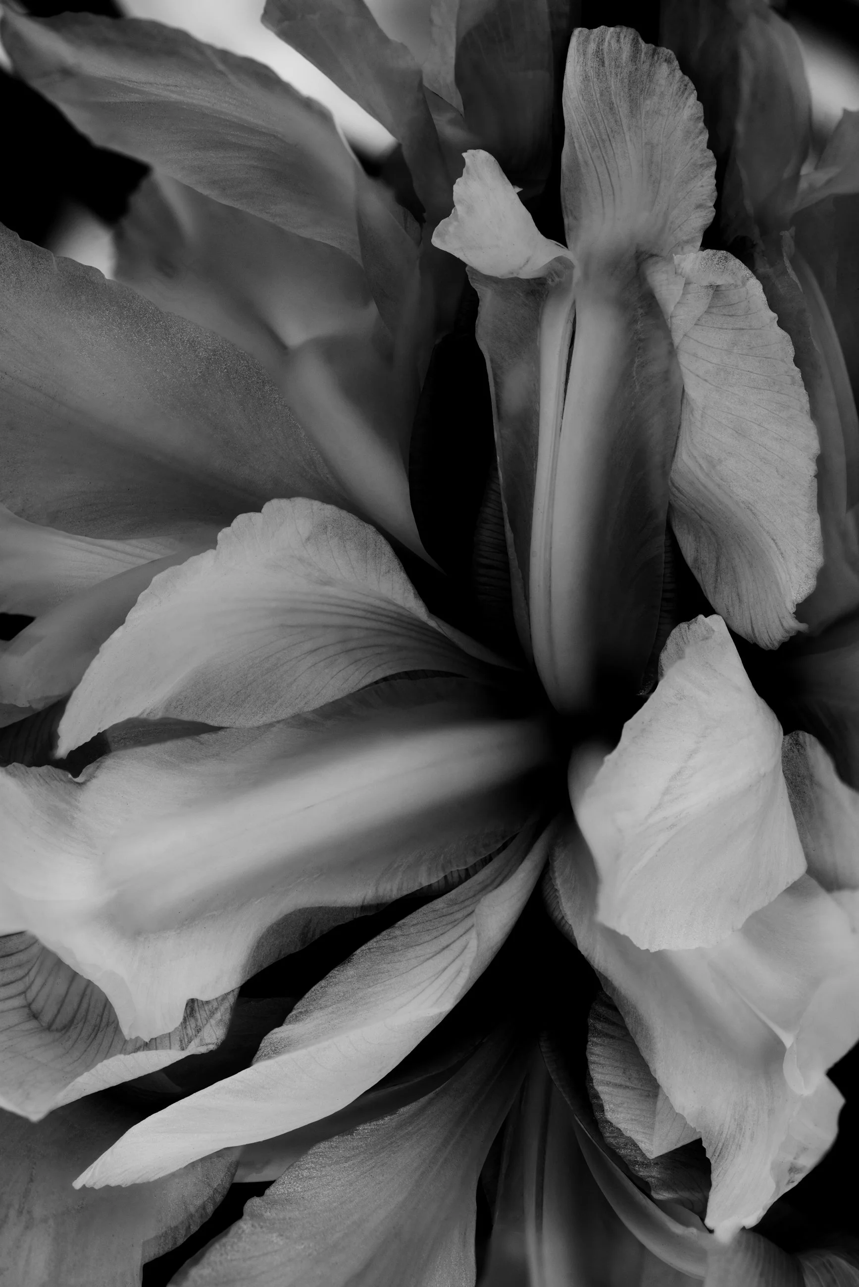 Nicholas Alan Cope Photography