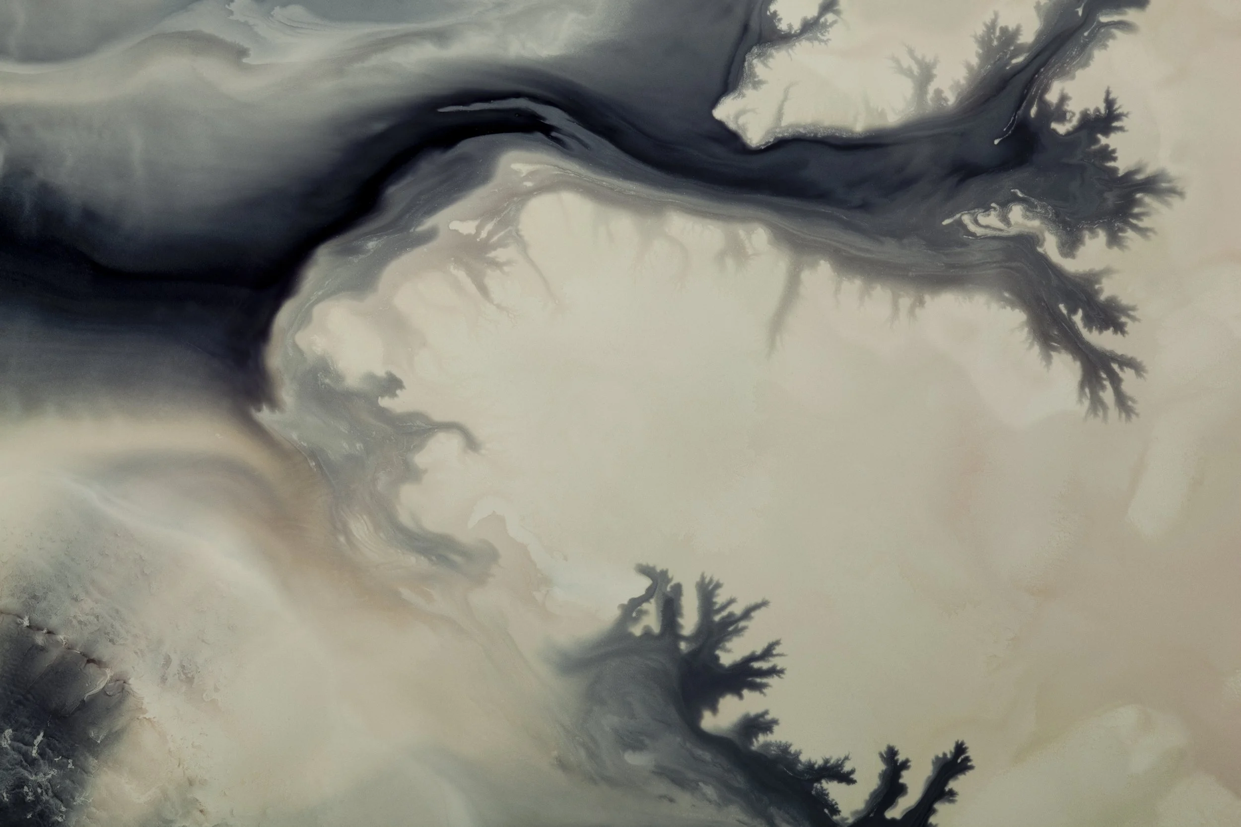 Nicholas Alan Cope Photography