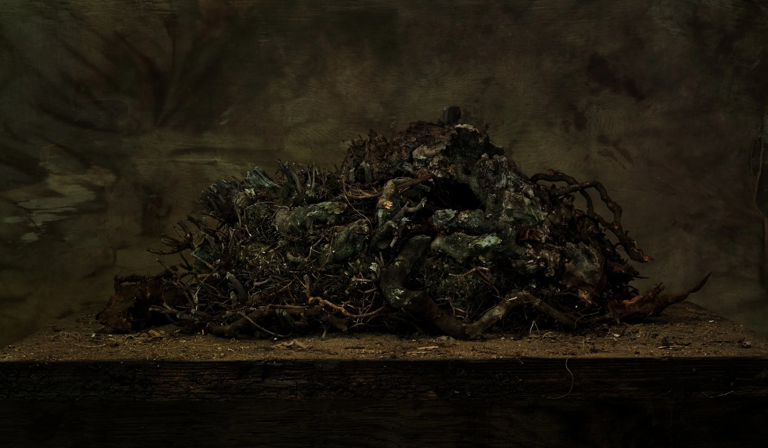 Nicholas Alan Cope Photography