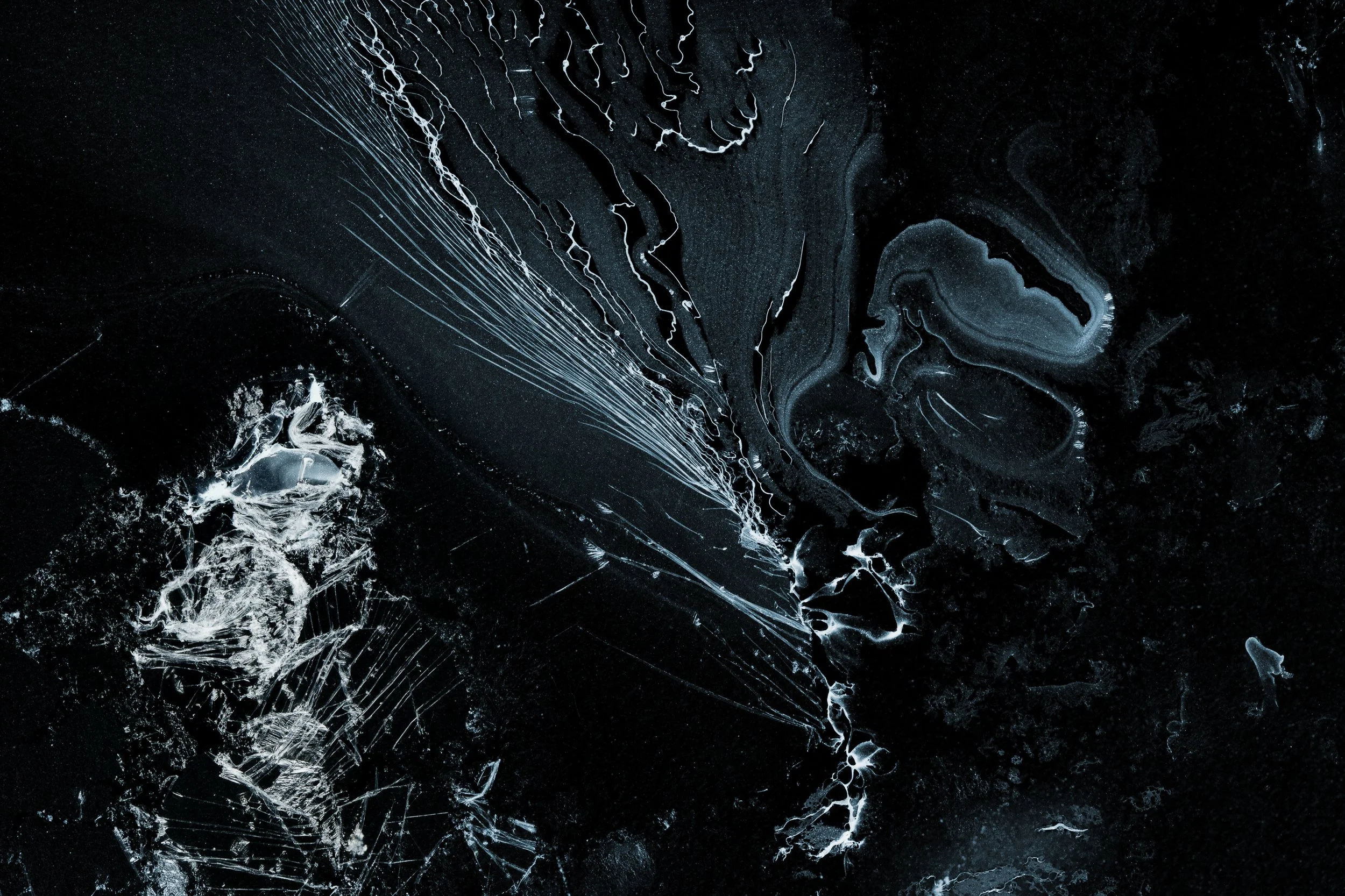 Nicholas Alan Cope Photography