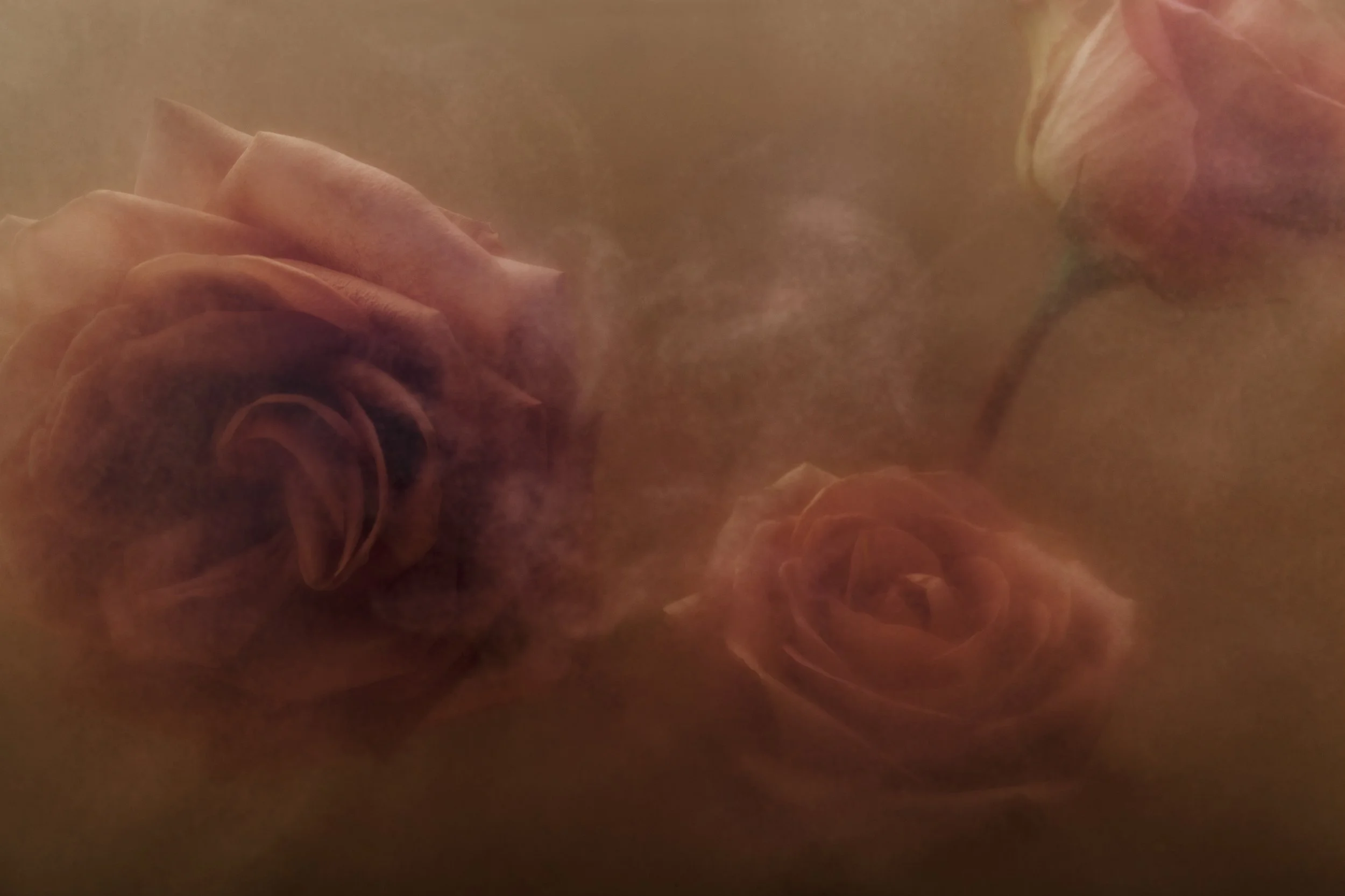 Nicholas Alan Cope Photography