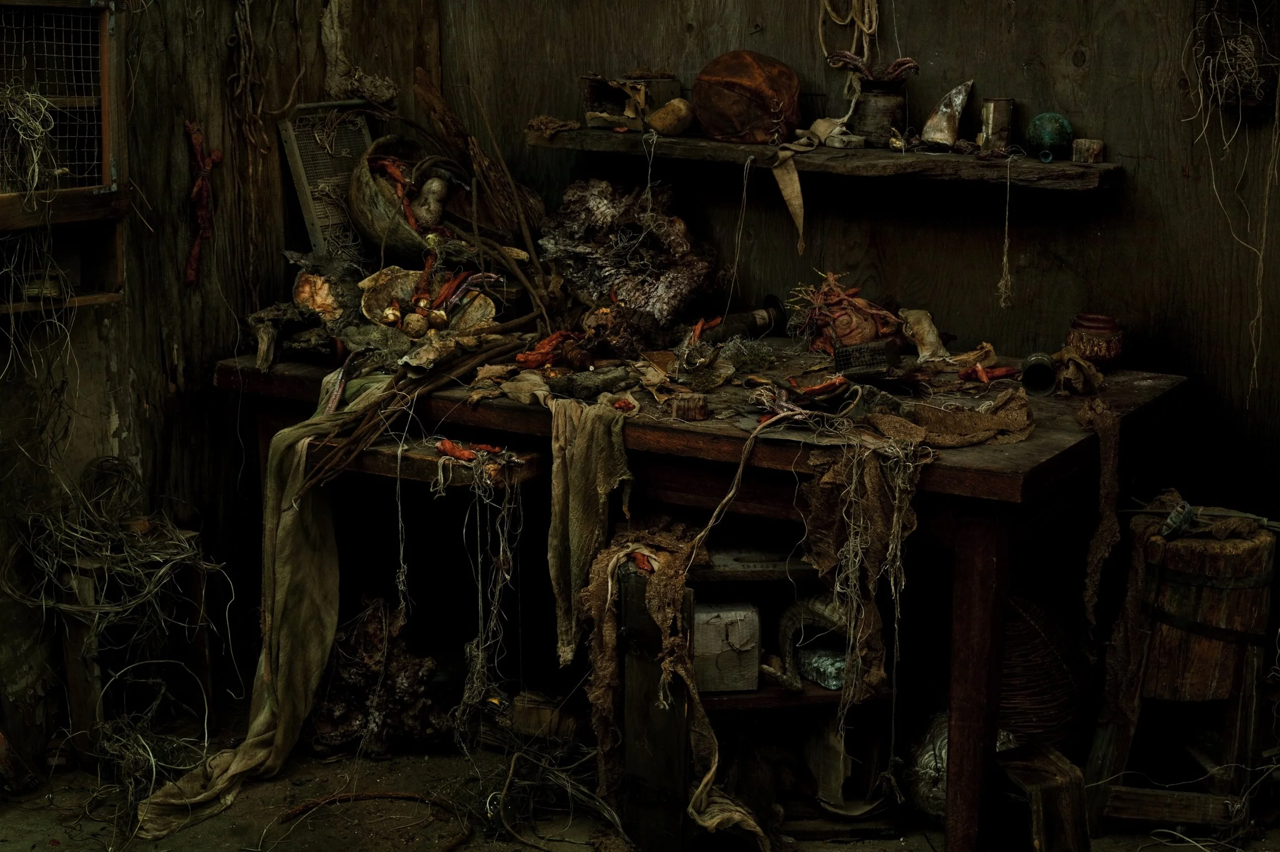 Nicholas Alan Cope Photography