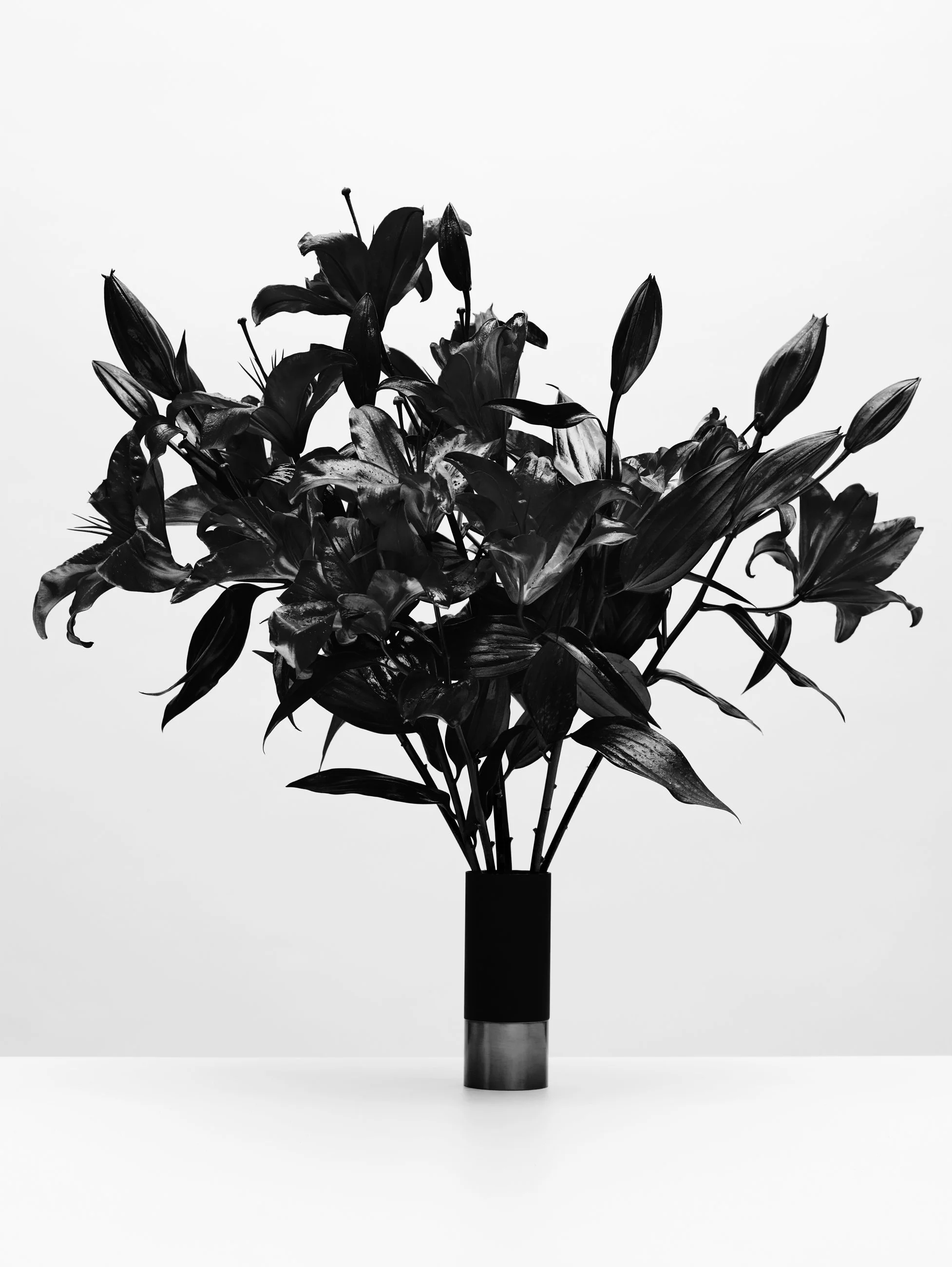 Nicholas Alan Cope Photography