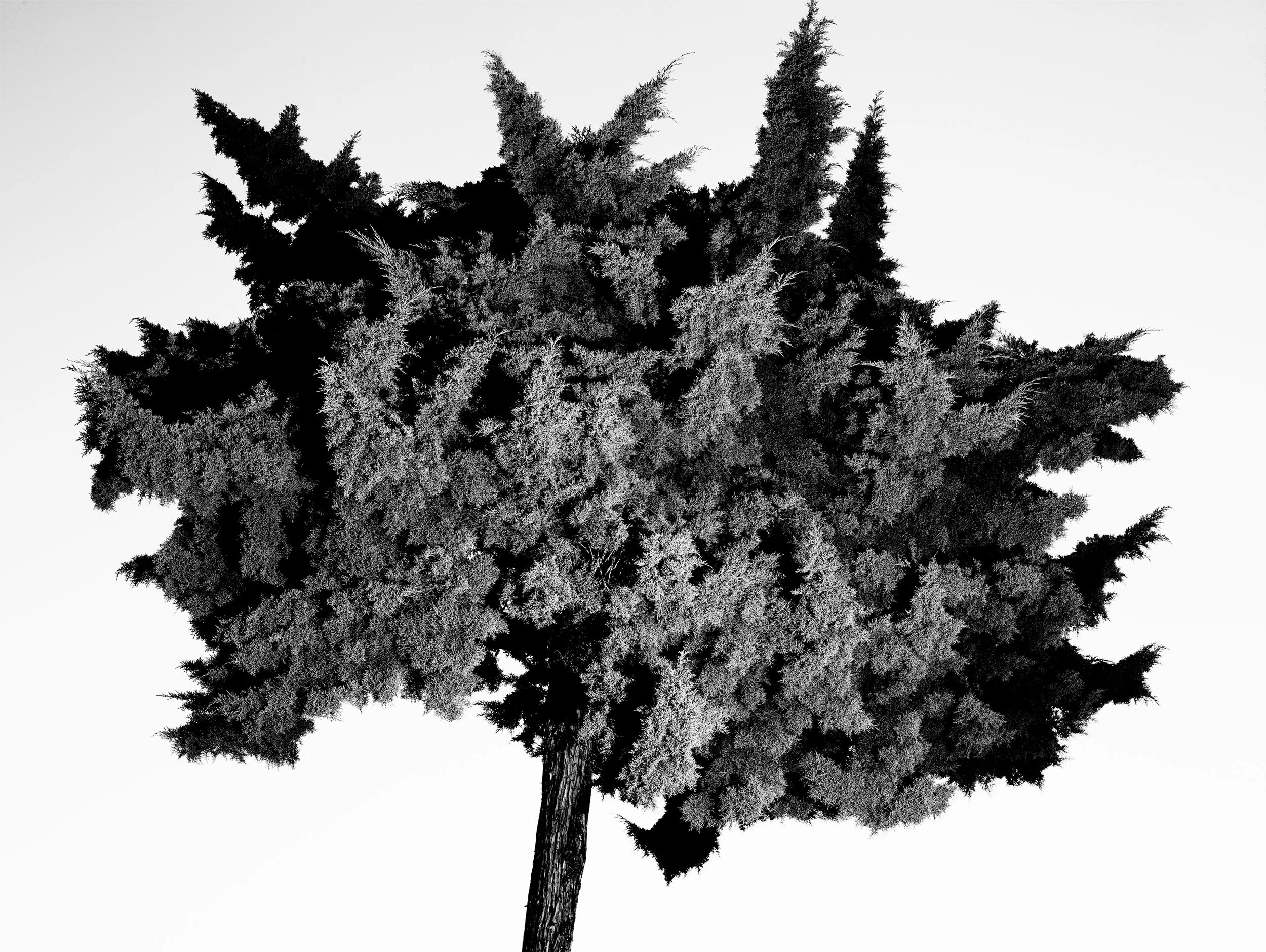 Nicholas Alan Cope Photography