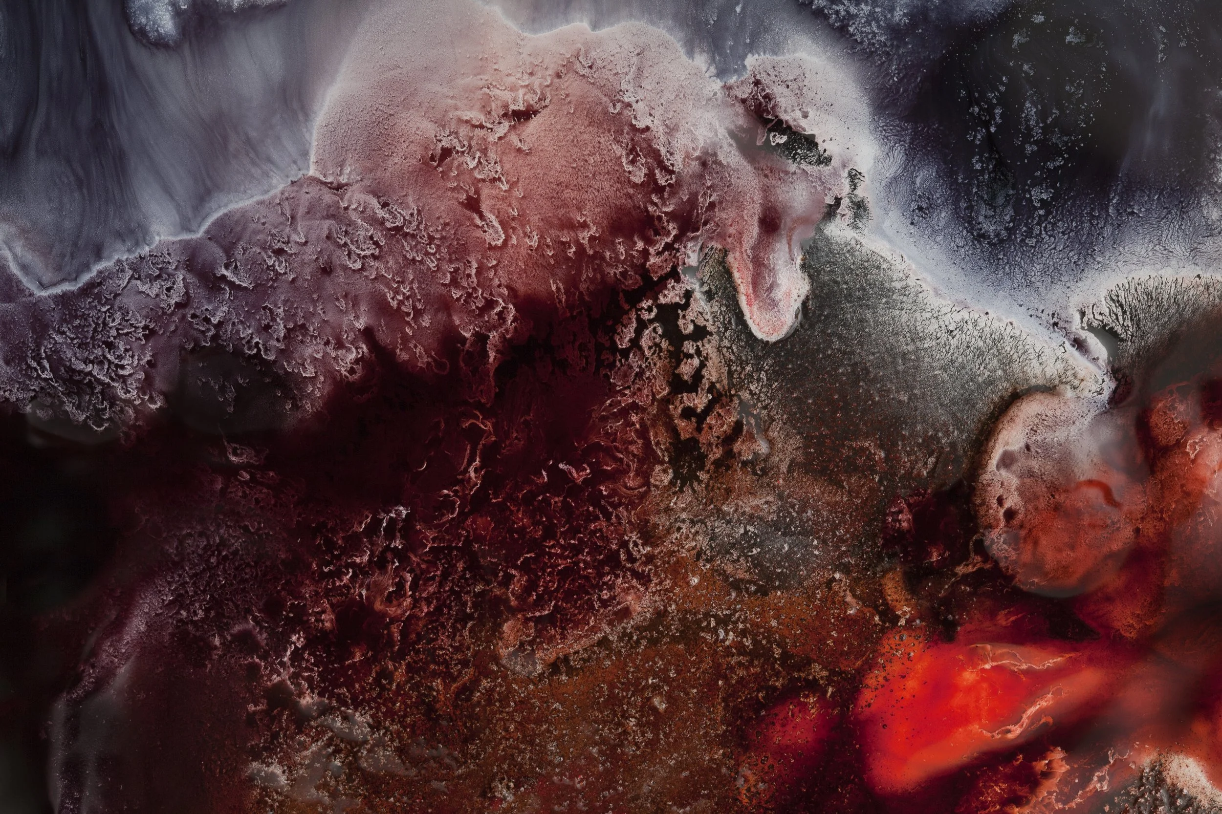 Nicholas Alan Cope Photography