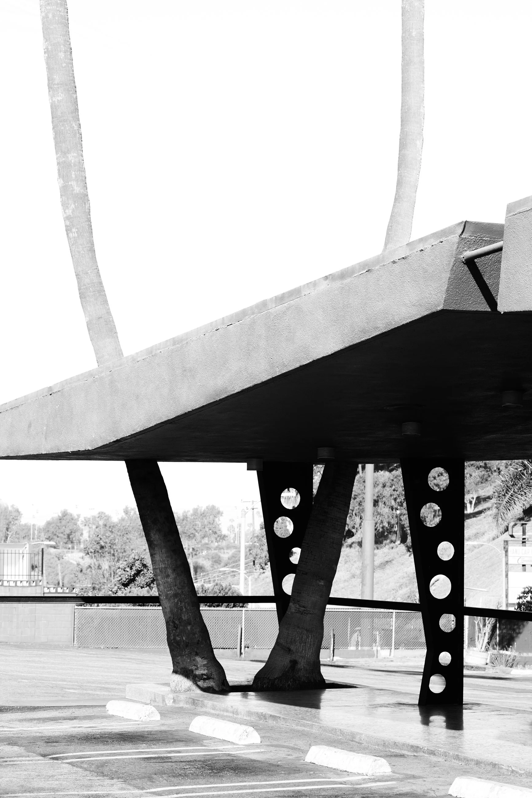 Nicholas Alan Cope Photography