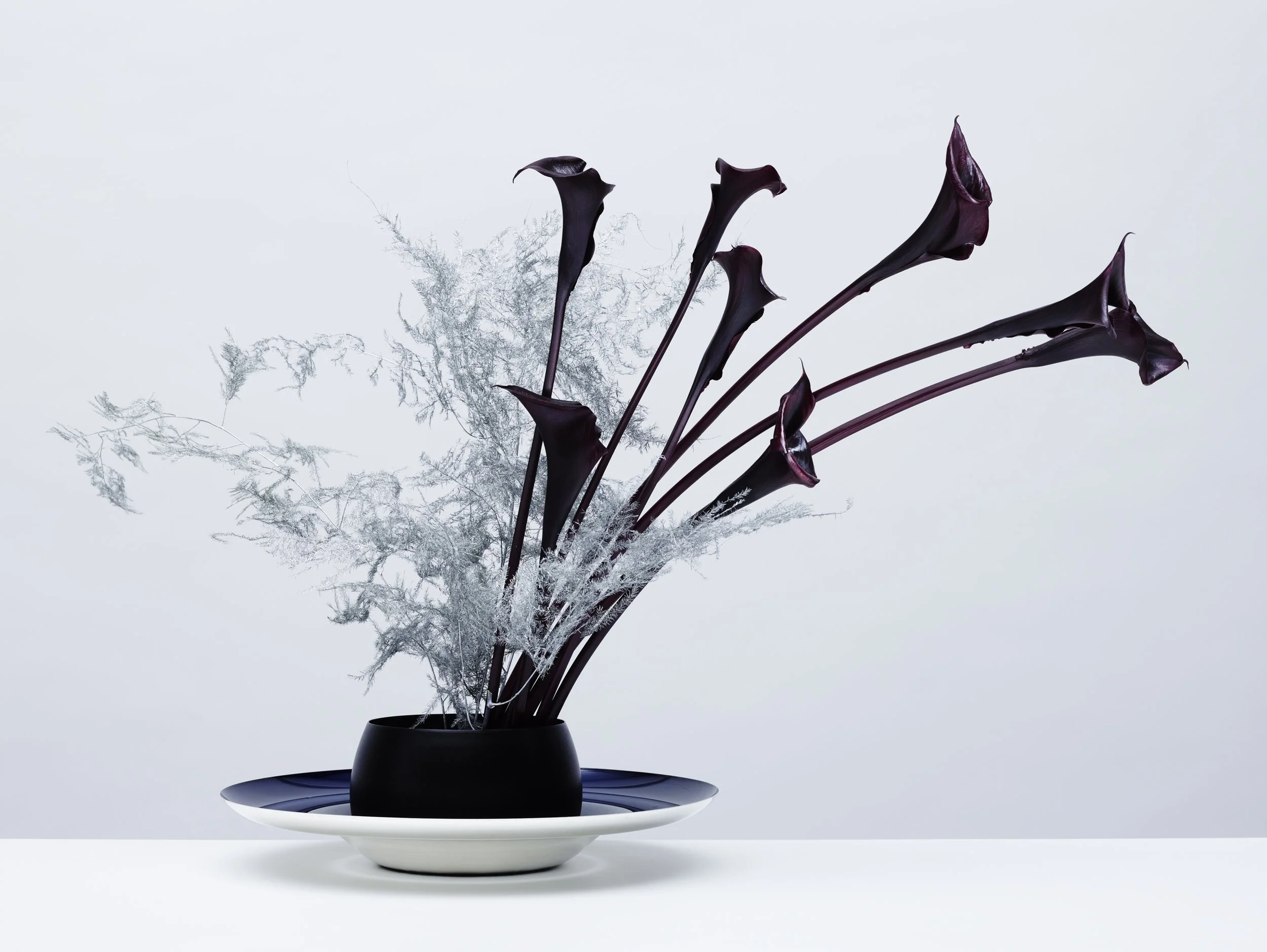 Nicholas Alan Cope Photography