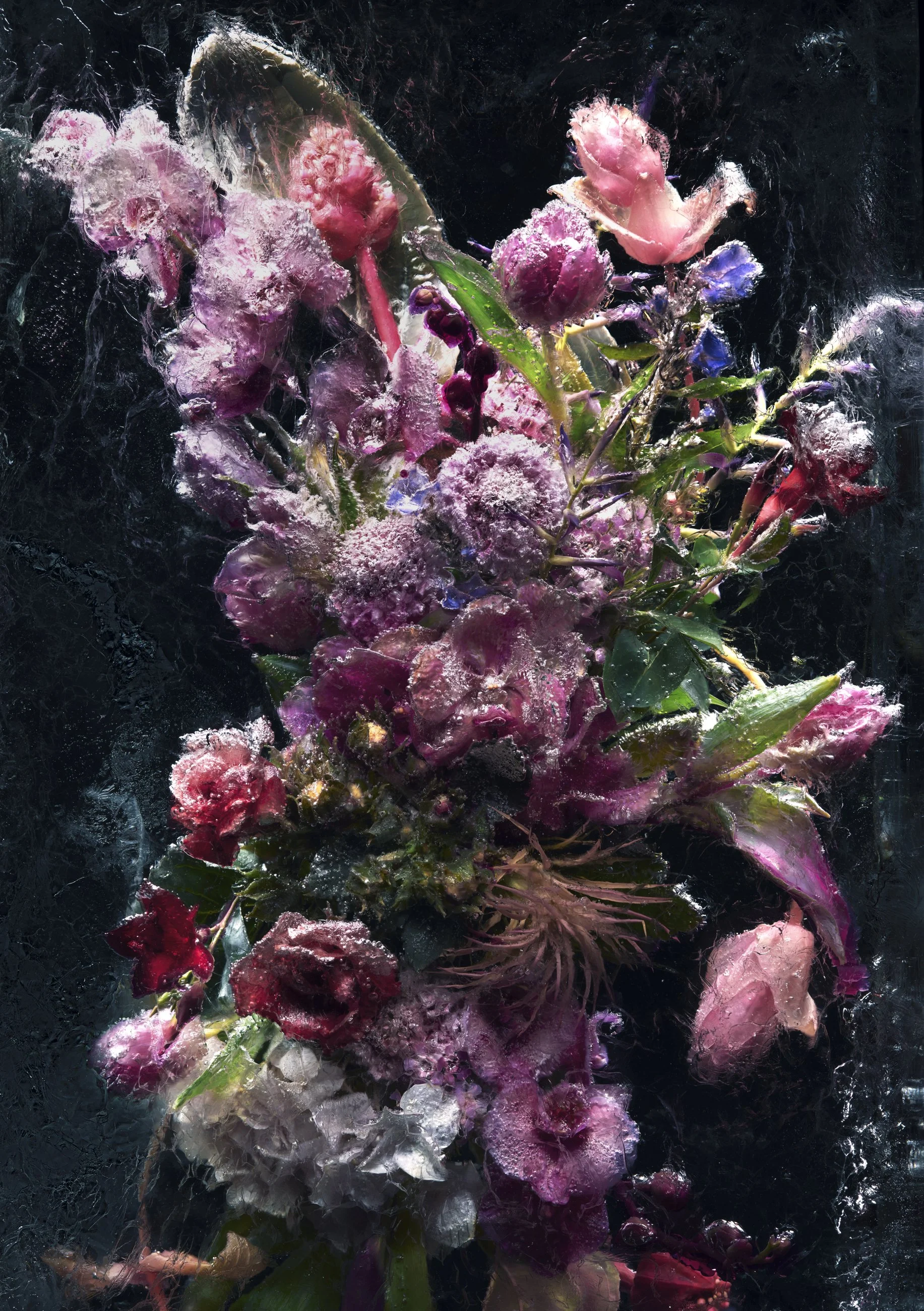 Nicholas Alan Cope Photography