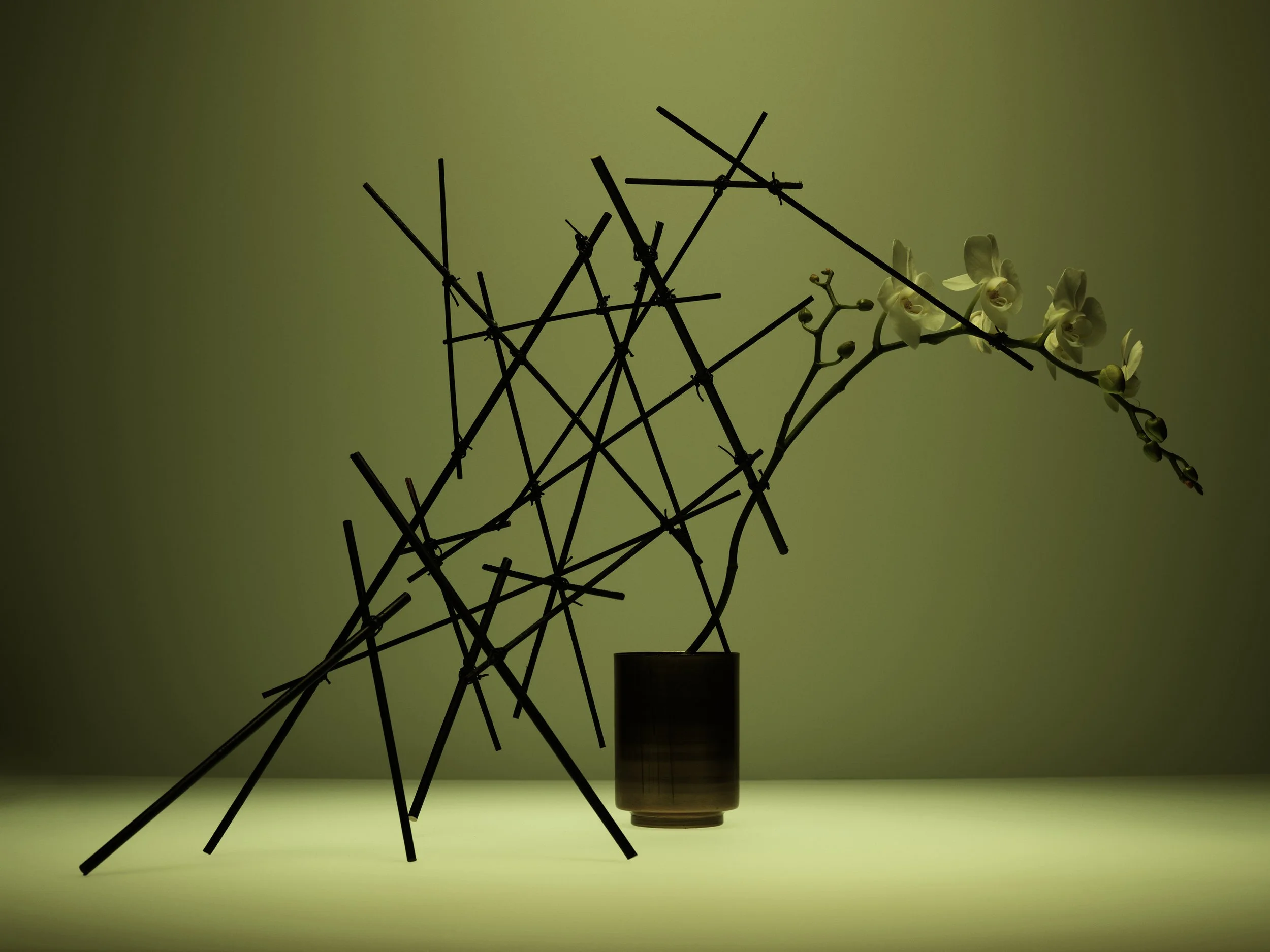 Nicholas Alan Cope Photography