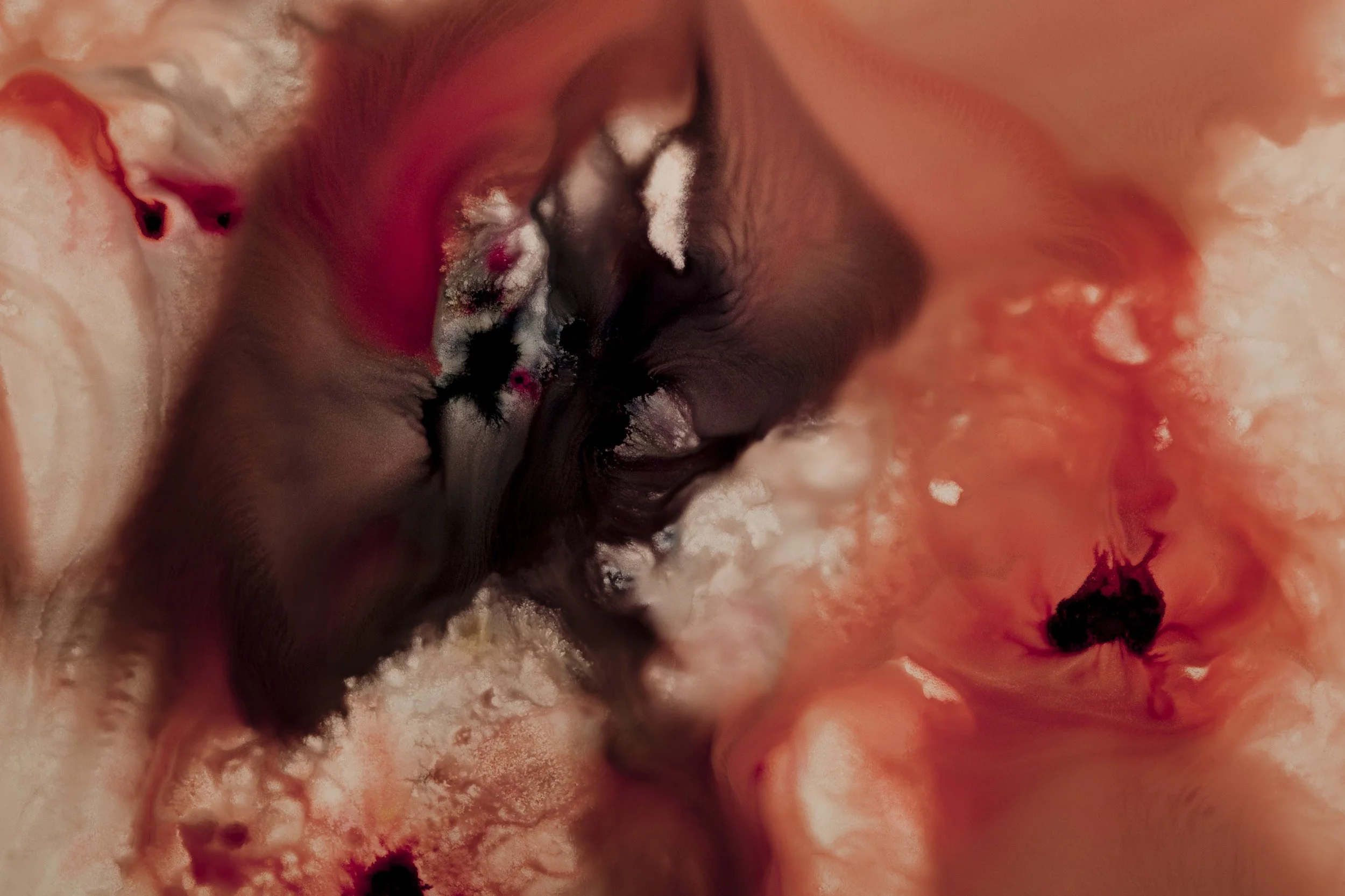 Nicholas Alan Cope Photography