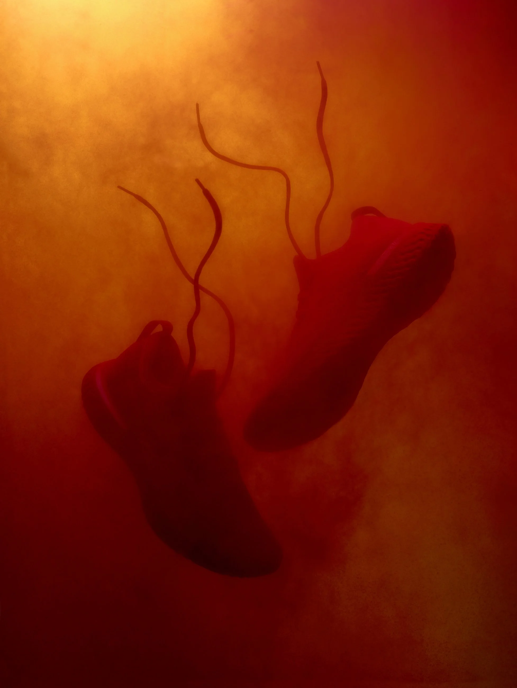 Nicholas Alan Cope Photography