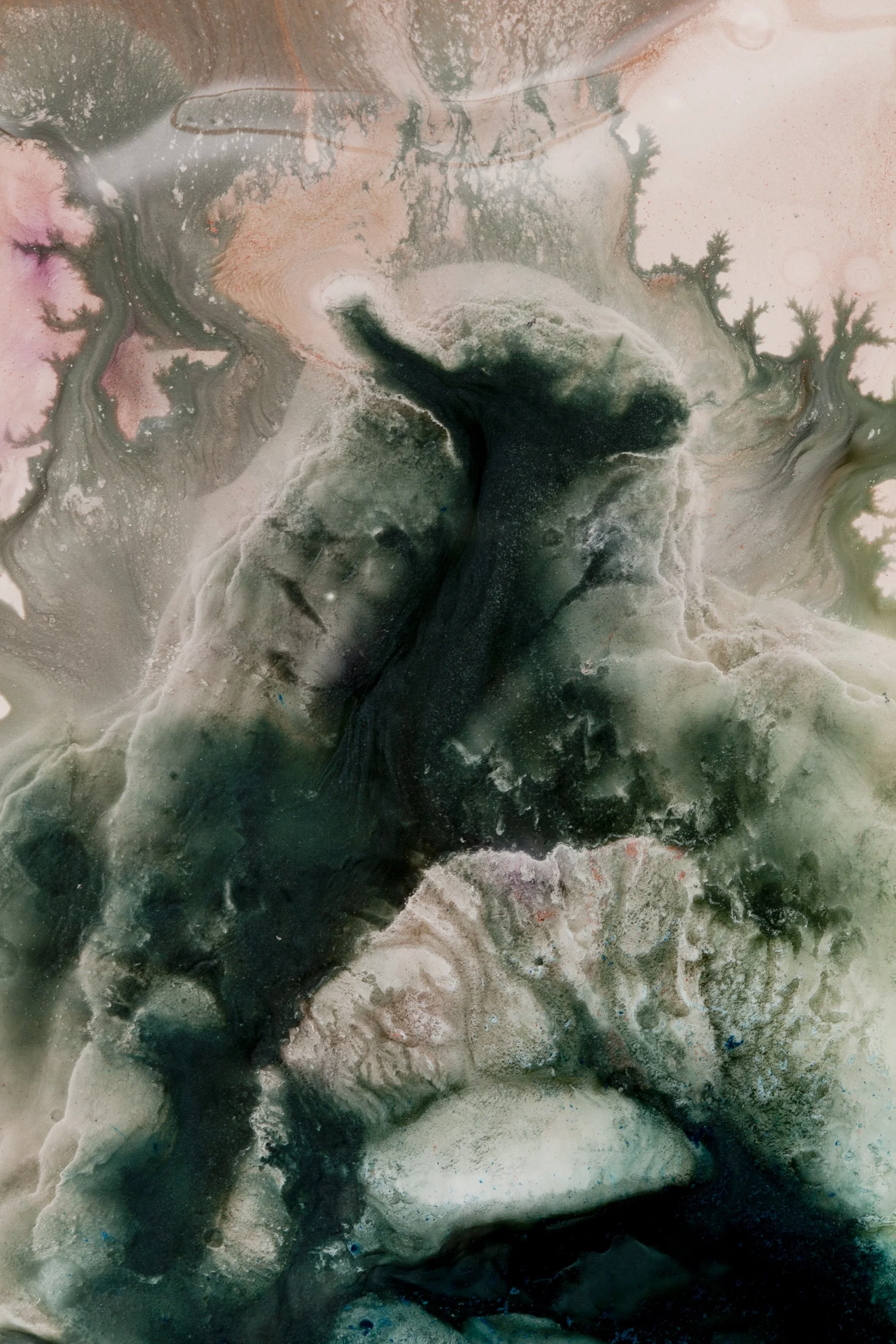 Nicholas Alan Cope Photography