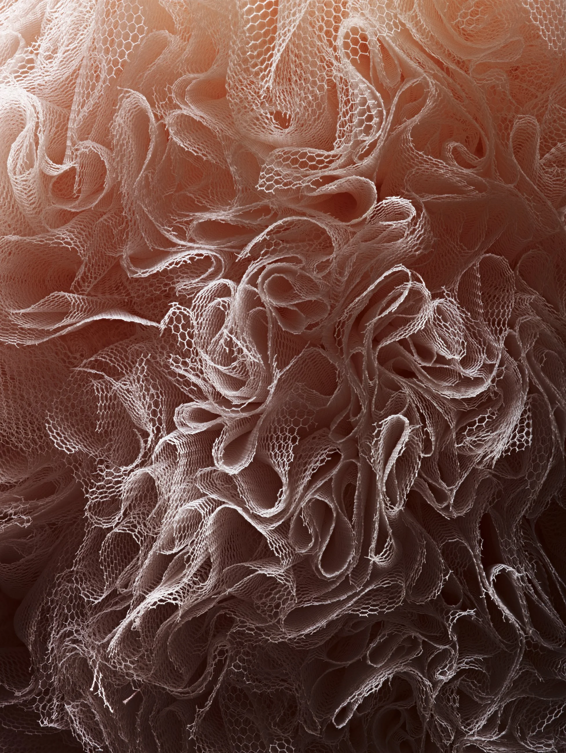 Nicholas Alan Cope Photography