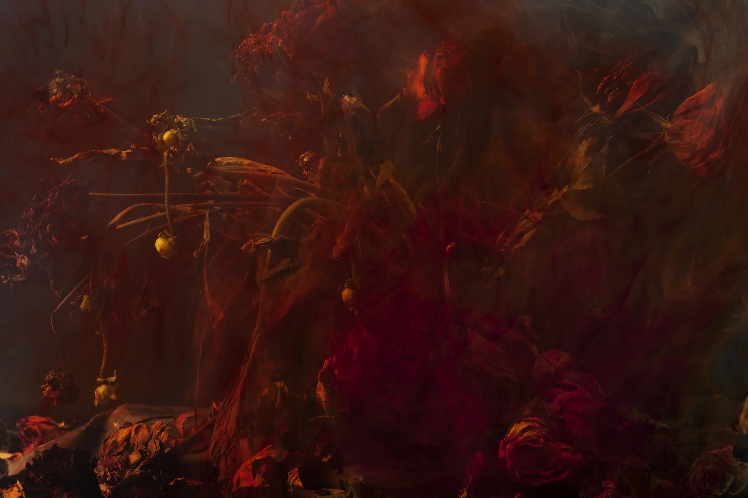 Nicholas Alan Cope Photography