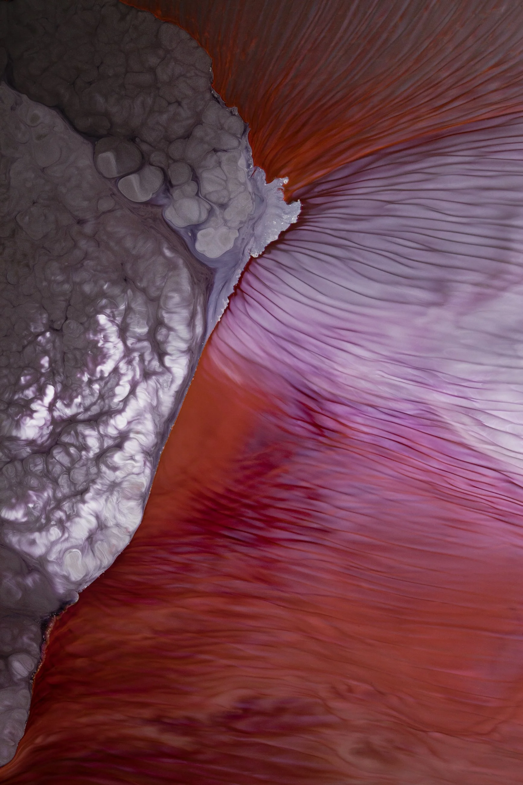 Nicholas Alan Cope Photography