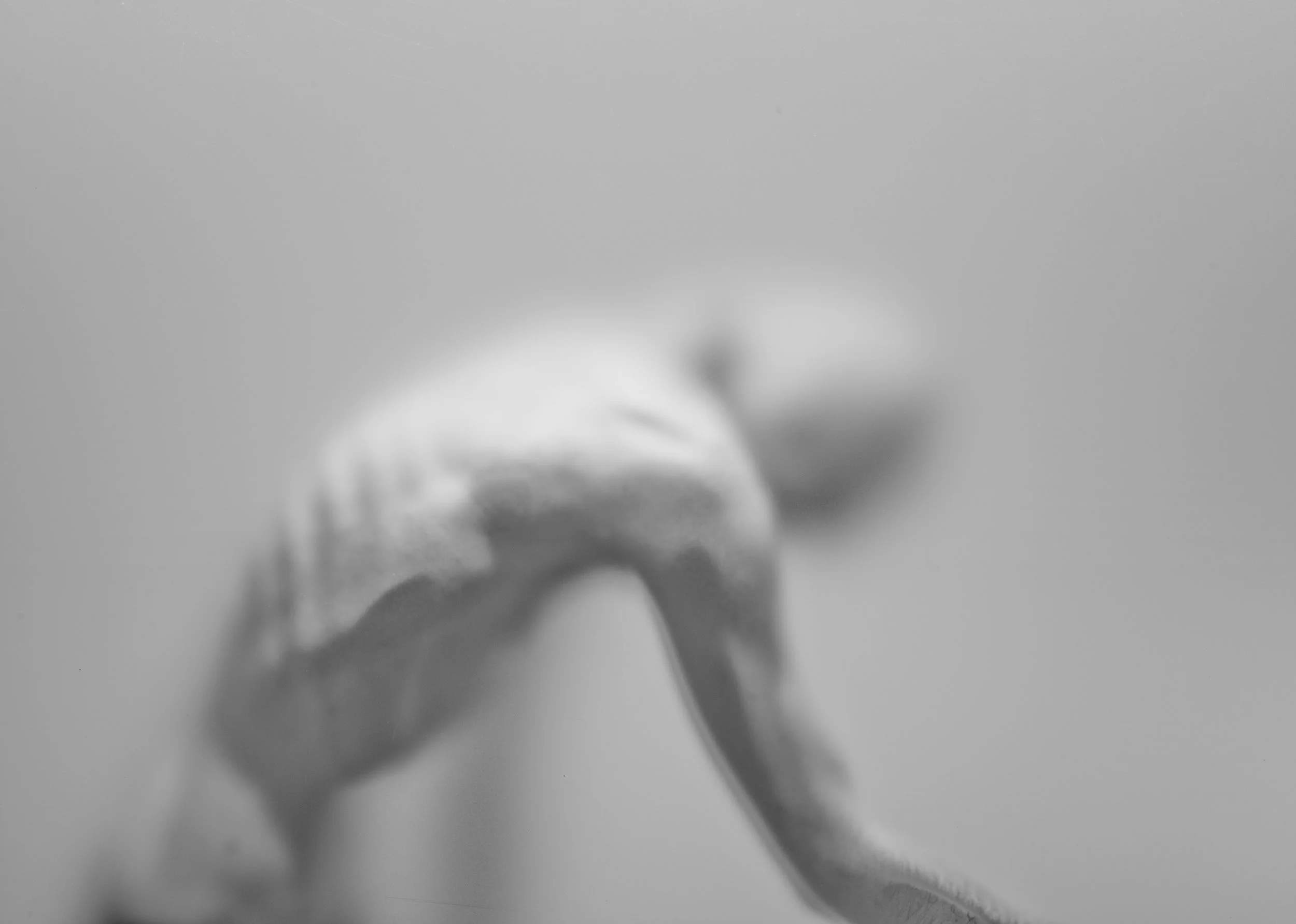 Nicholas Alan Cope Photography